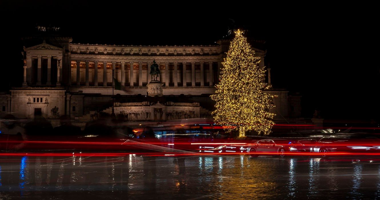 The World's Largest Christmas Trees