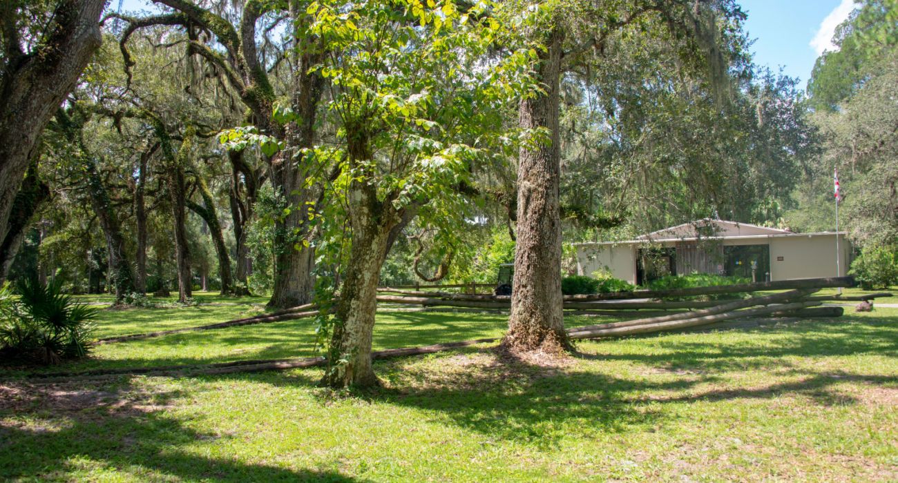 Dade Battlefield State Park Seminole History