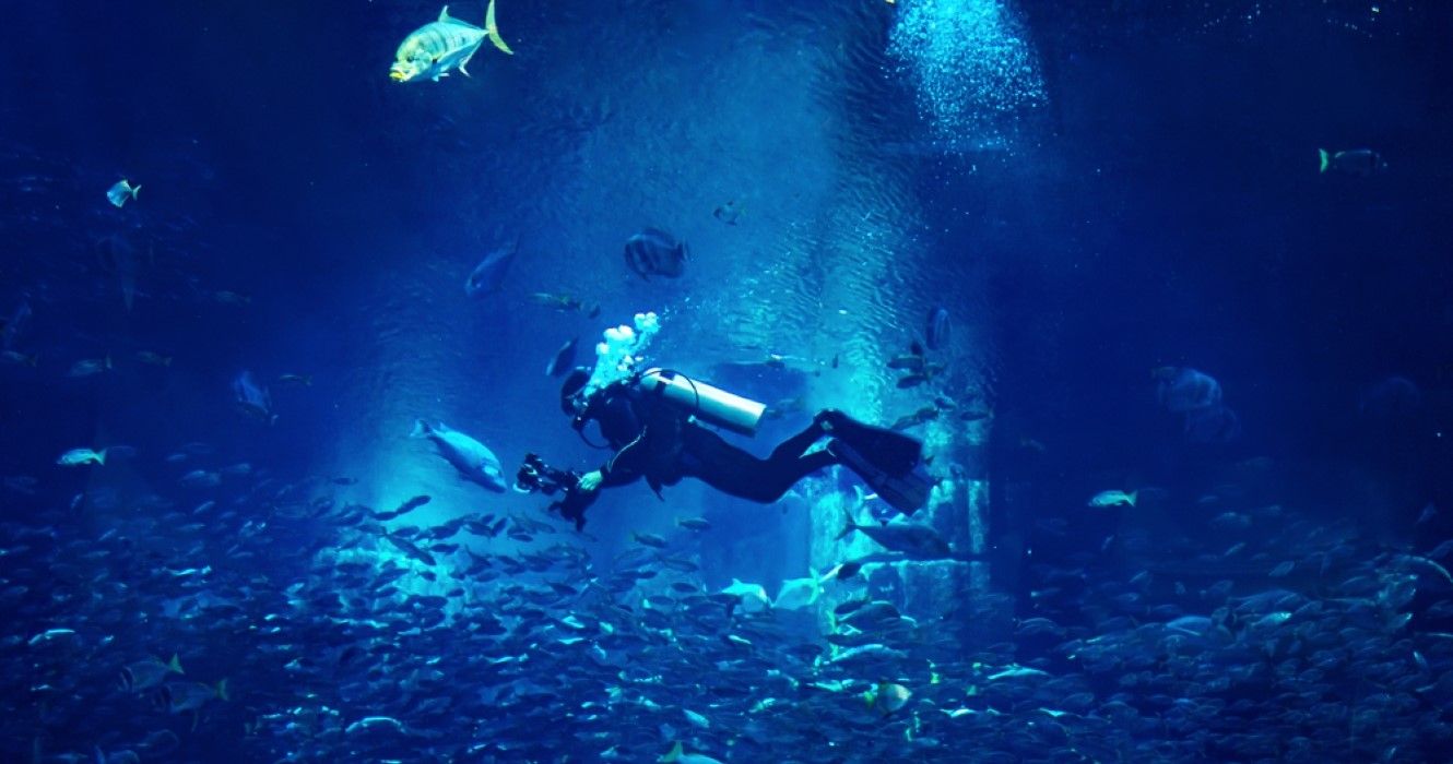 10 Facts To Learn About Deep Dive Dubai, The World’s Deepest Pool