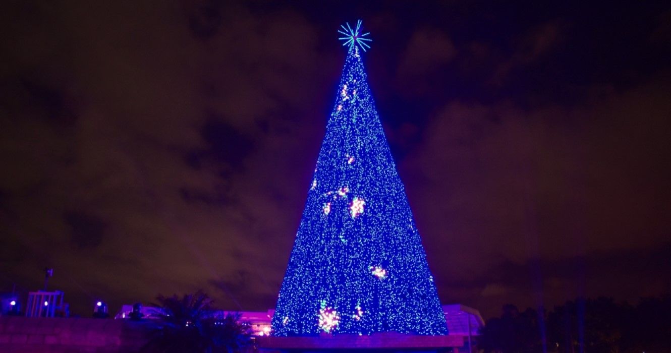 Iluminated Christmas Tree in Naples, Florida