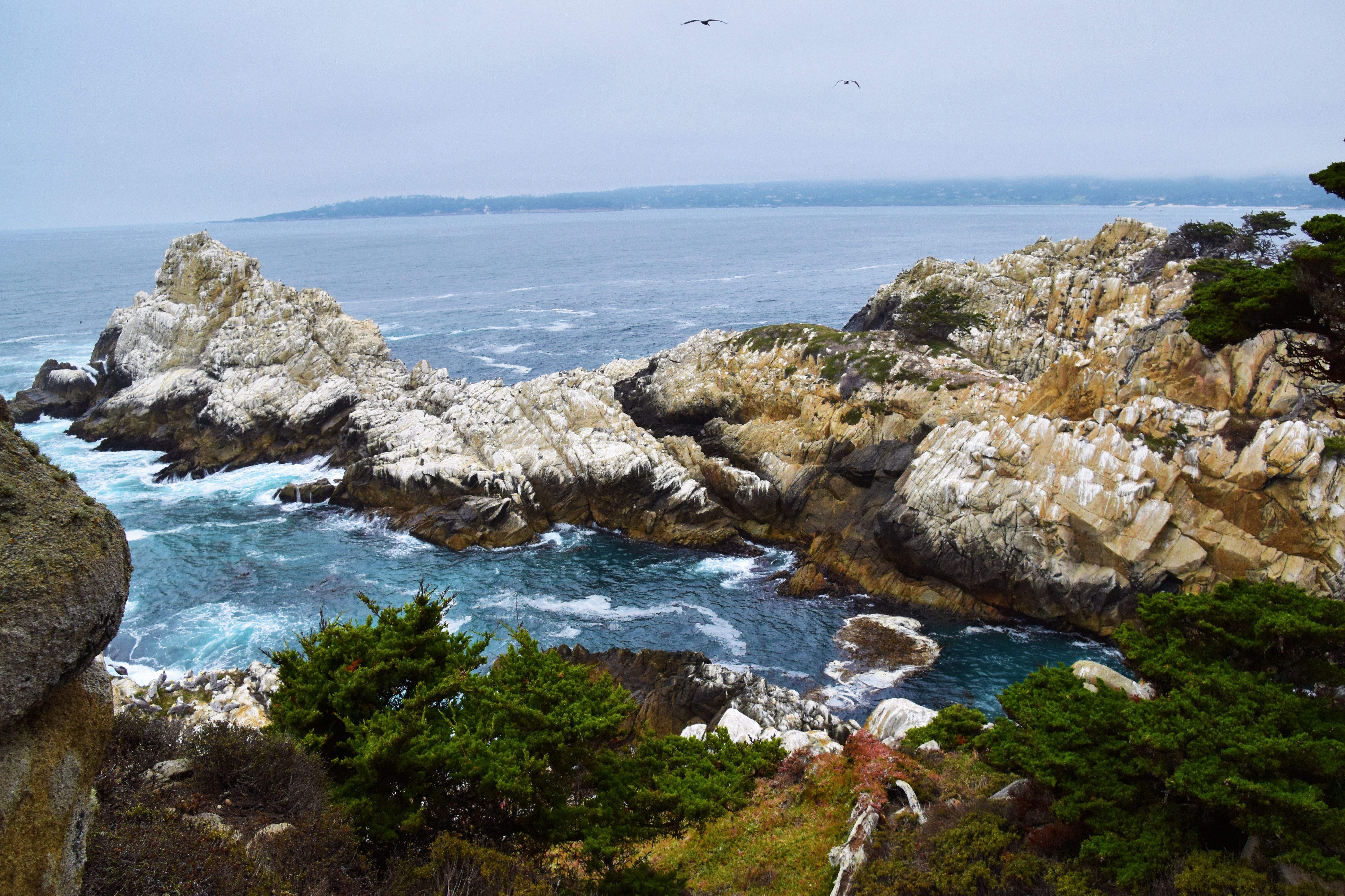 Point Lobos, Point Lobos State Natural Reserve, California, US
