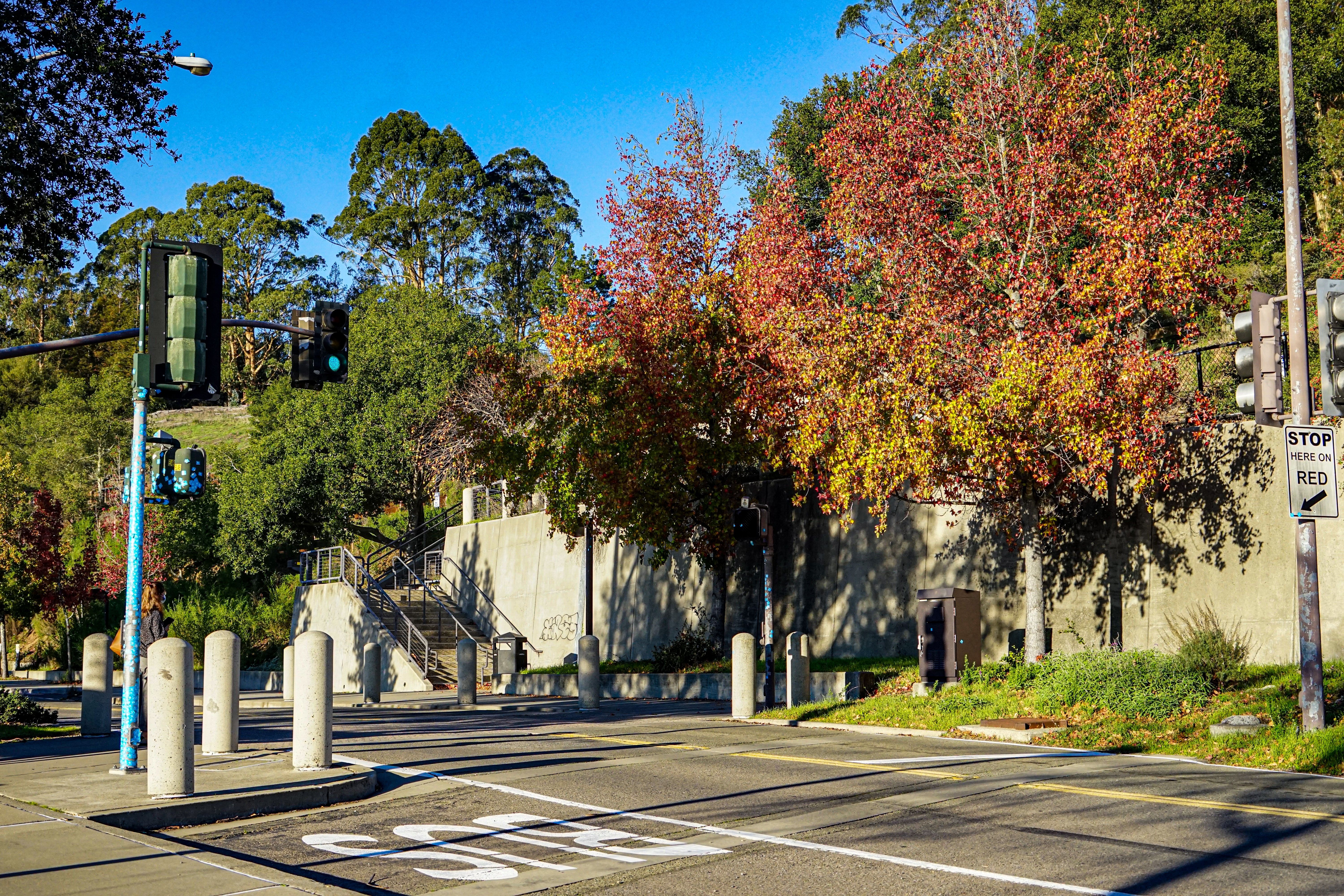 University of California, Berkeley