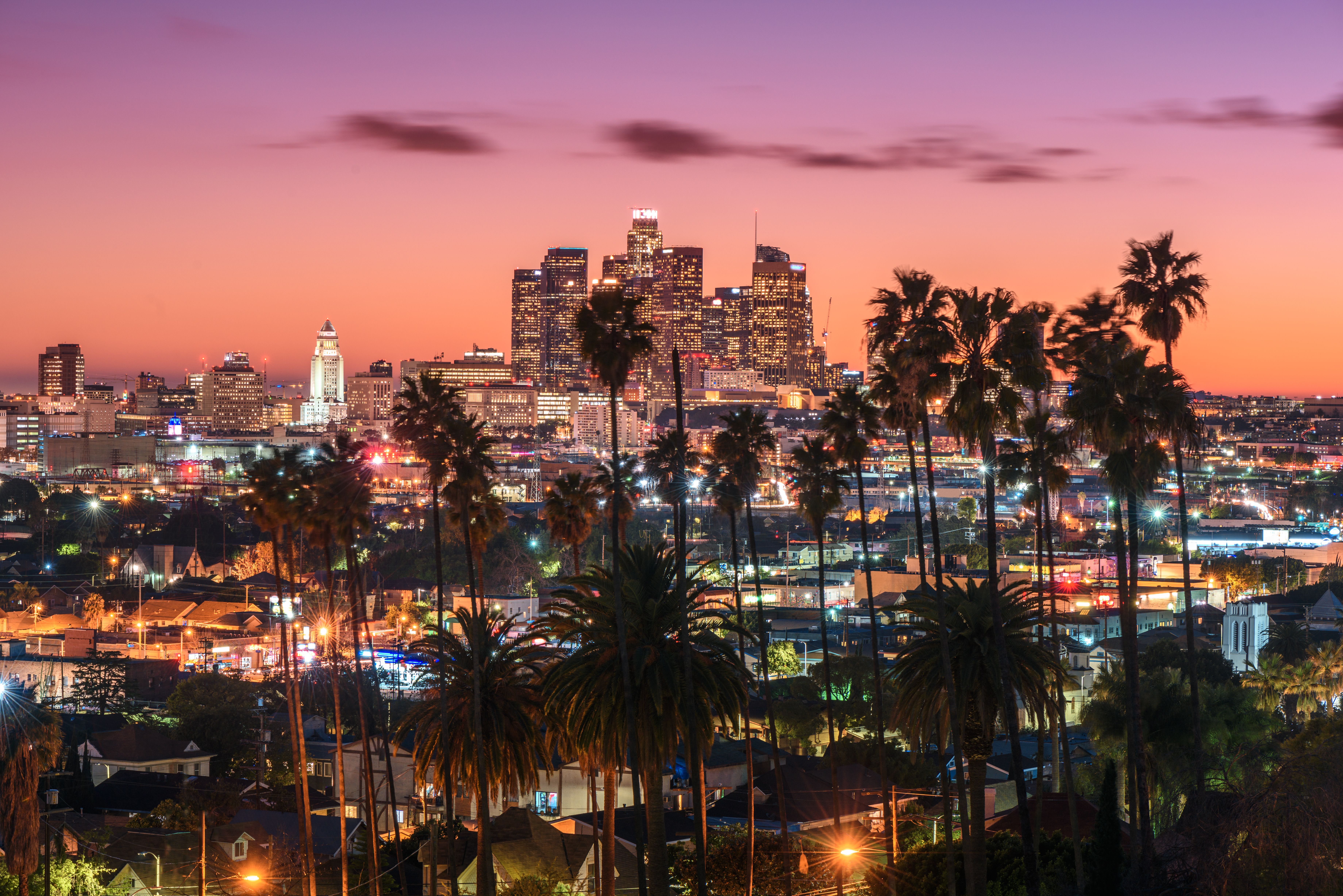 The Los Angeles cityscape and palm trees illuminated on a clear evening just after sunset