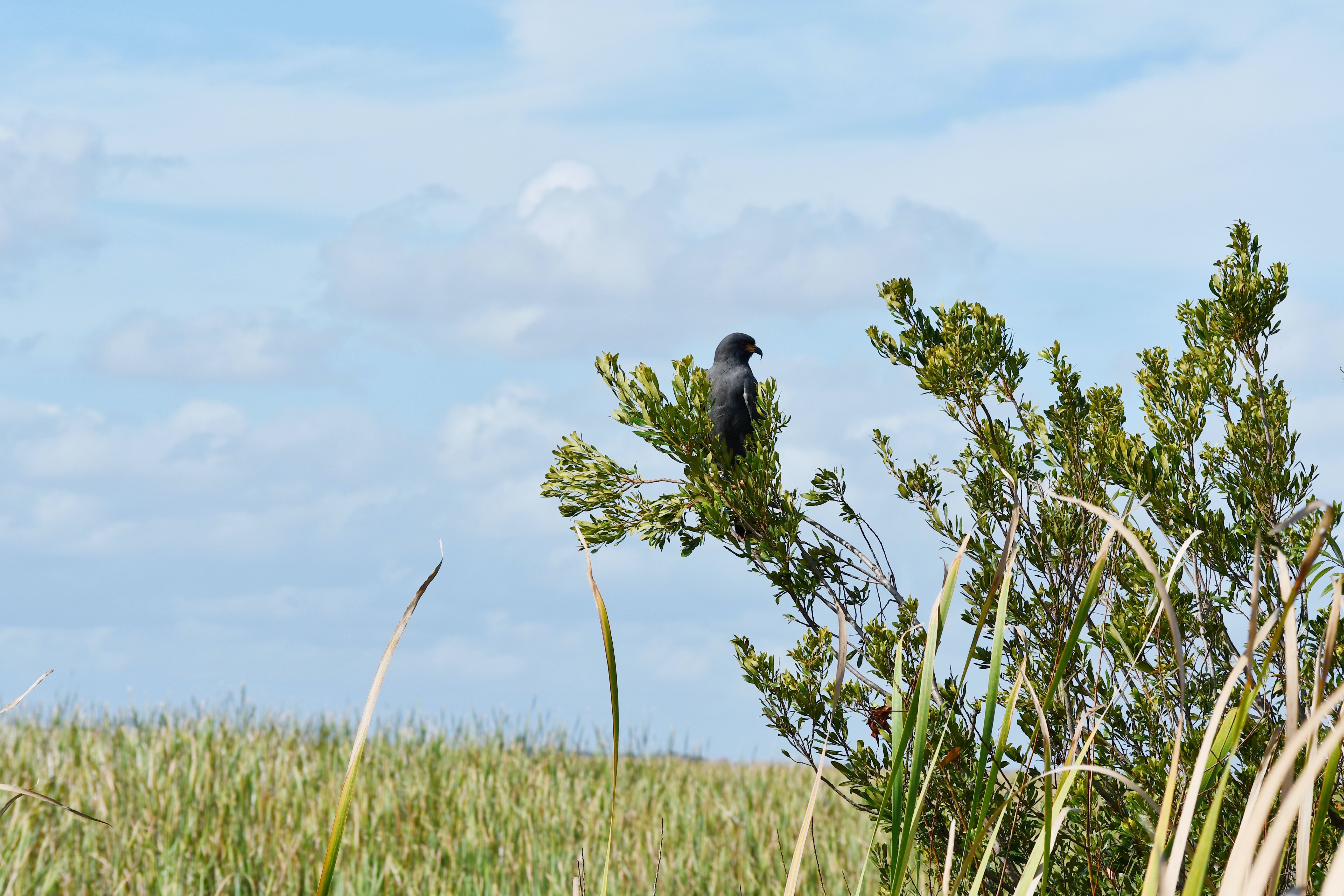 Kissimmee, FL, USA