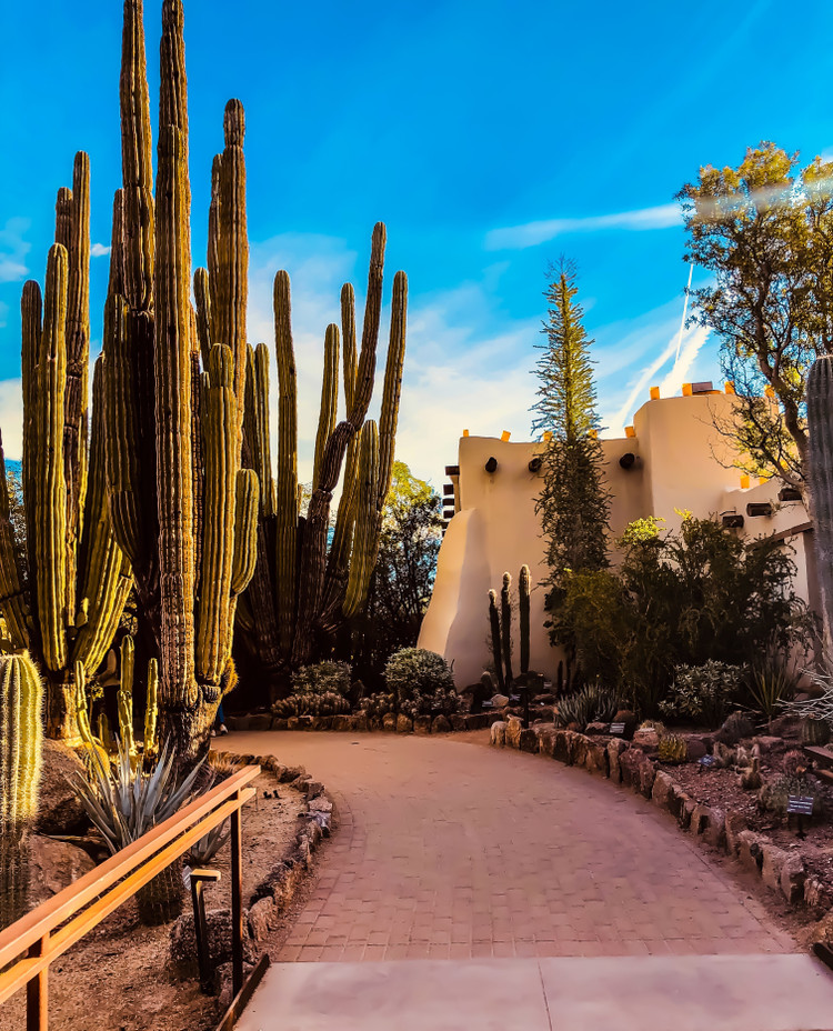 14 Things To Do In Phoenix: Complete Guide To Exploring Arizona's Capital