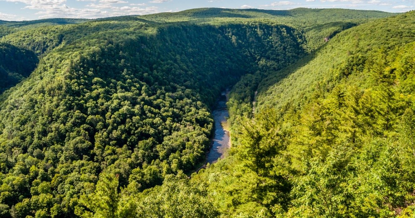 Aerial view of Pine Creek Gorge, also called The Grand Canyon of Pennsylvania, USA