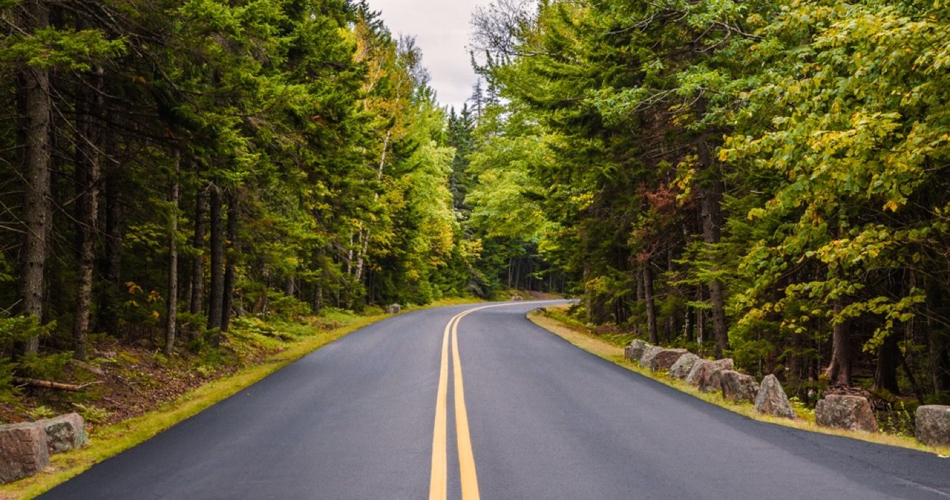 Road through Acadia National Park, Maine