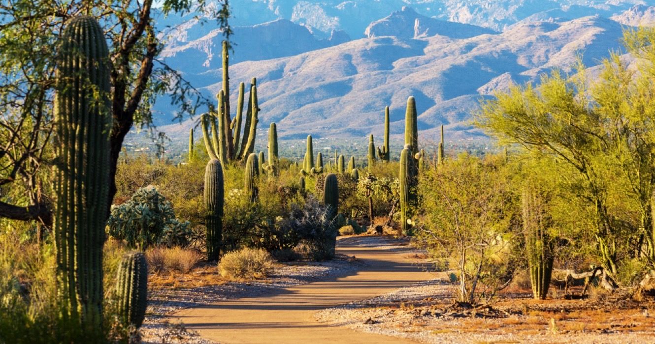 10 Arizona Parks Worth Visiting Besides The Grand Canyon