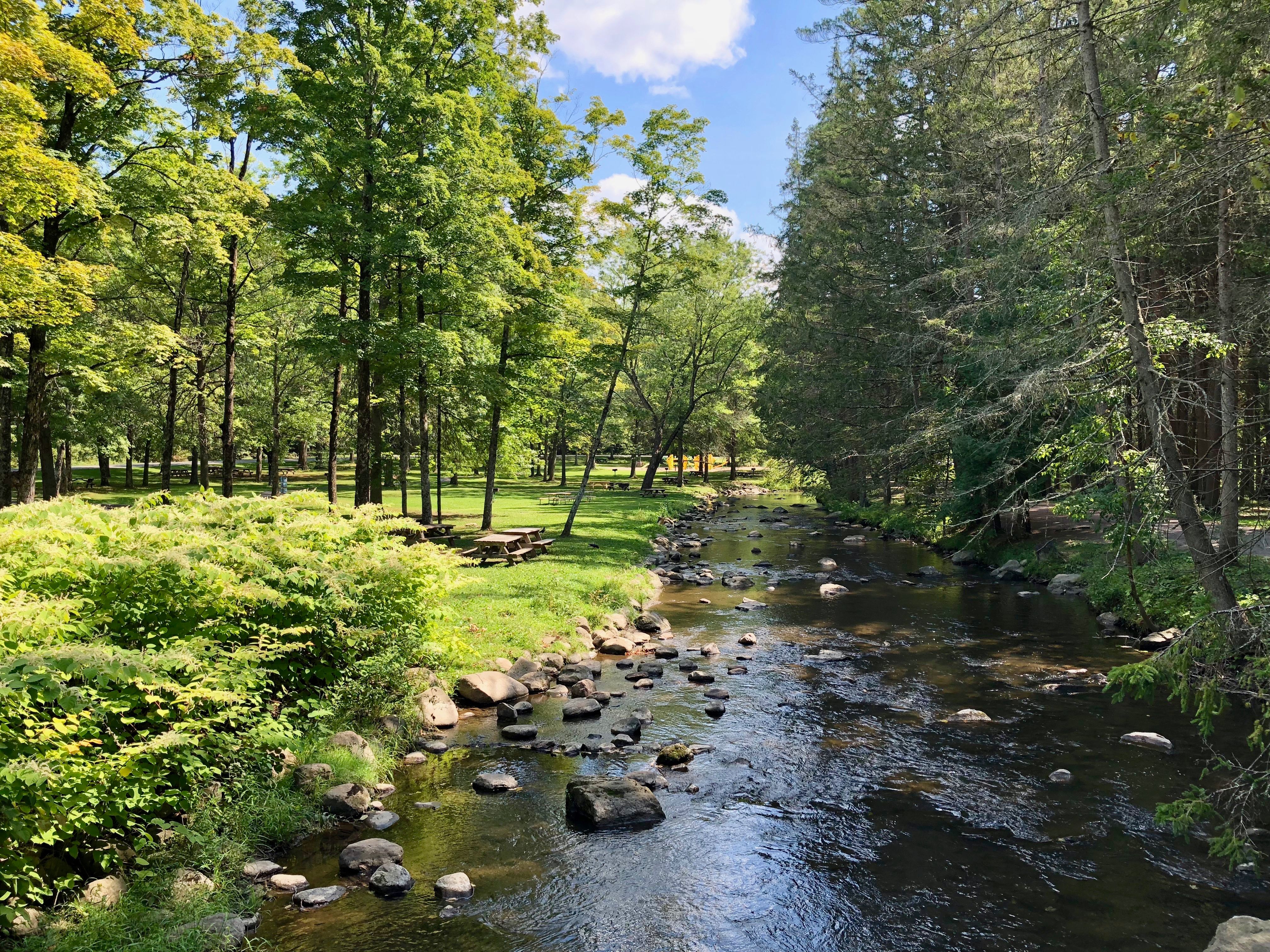 Brook in Saratoga Spa State Park