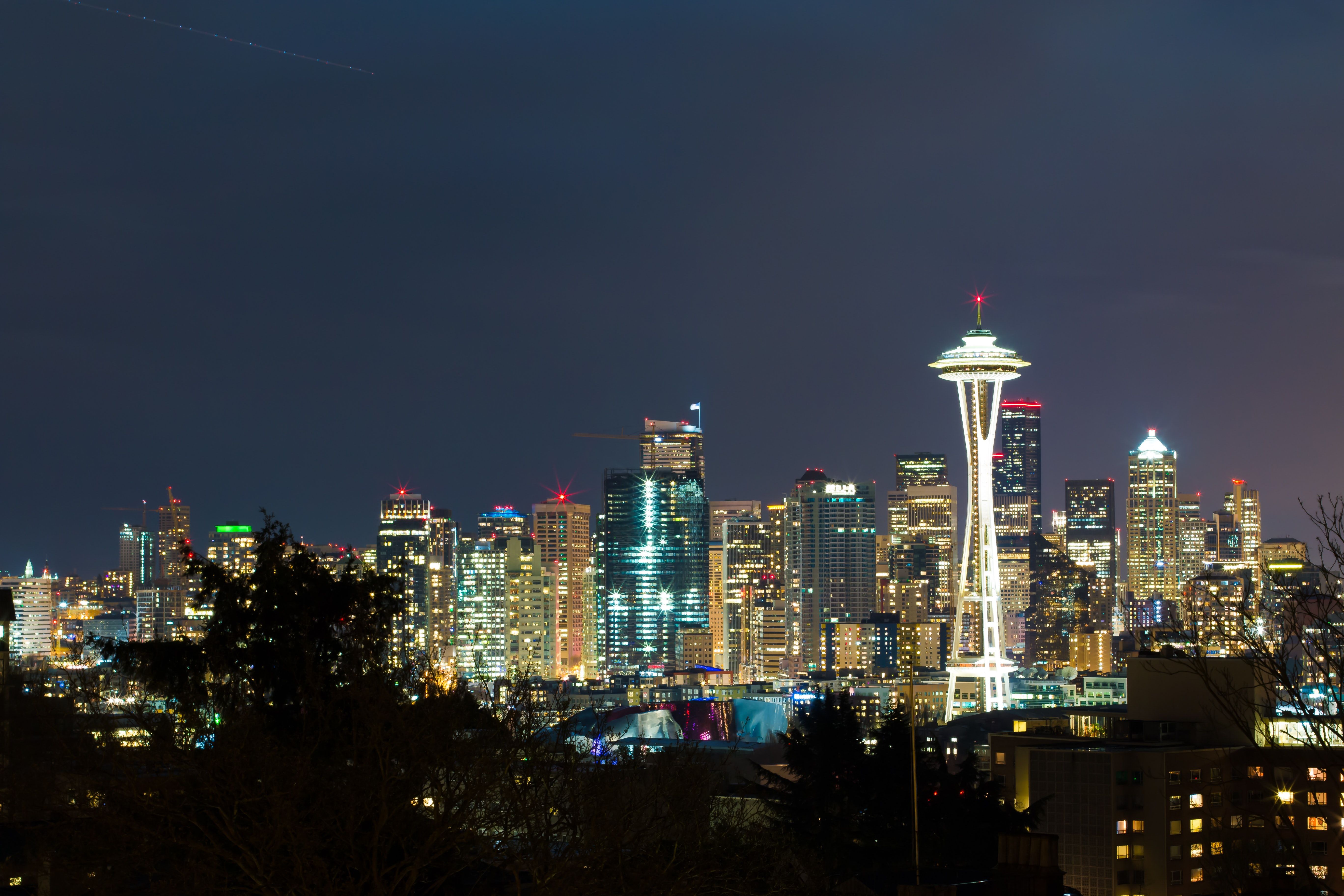 Seattle at Night Skyline