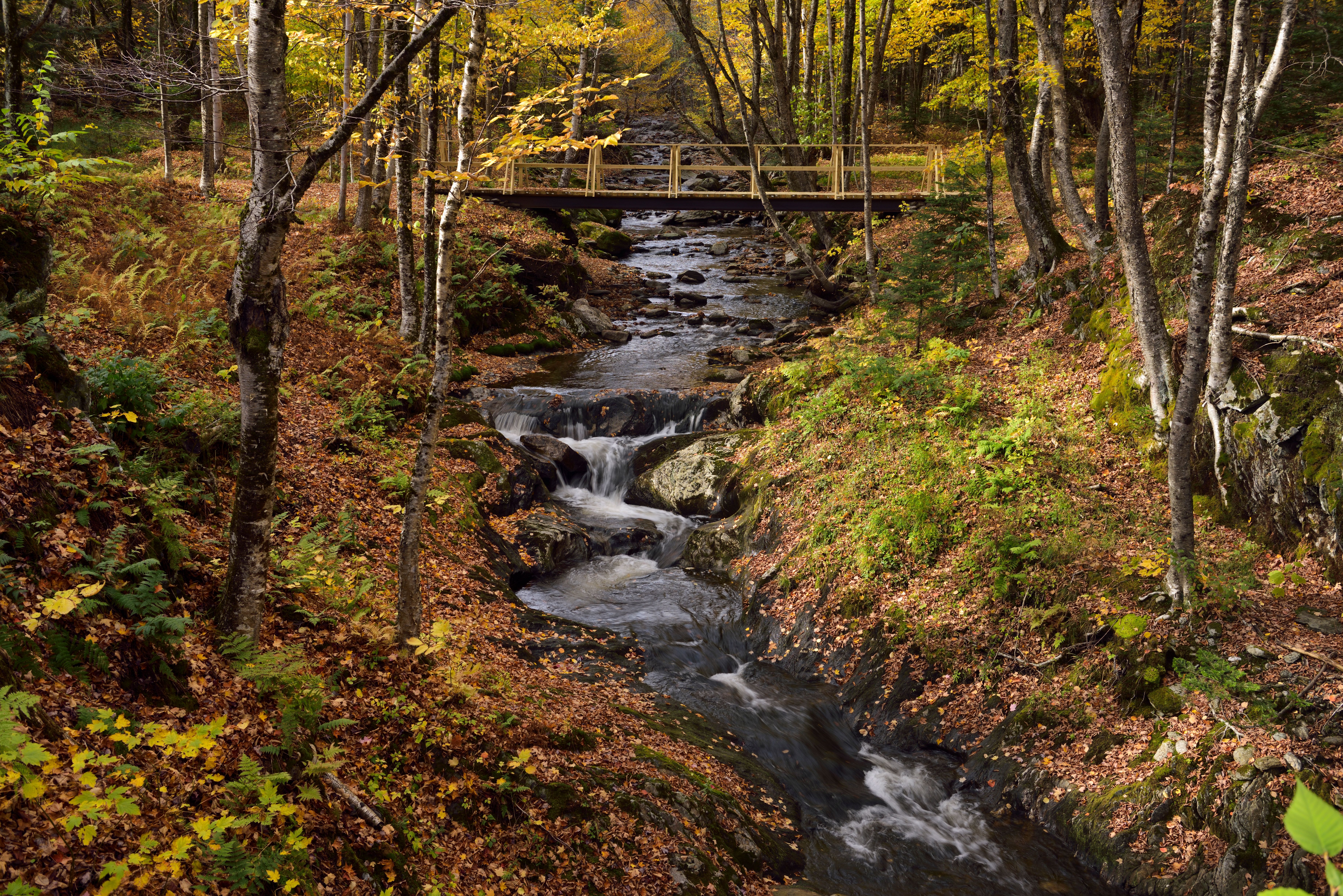 Bridge and Stream, Stowe