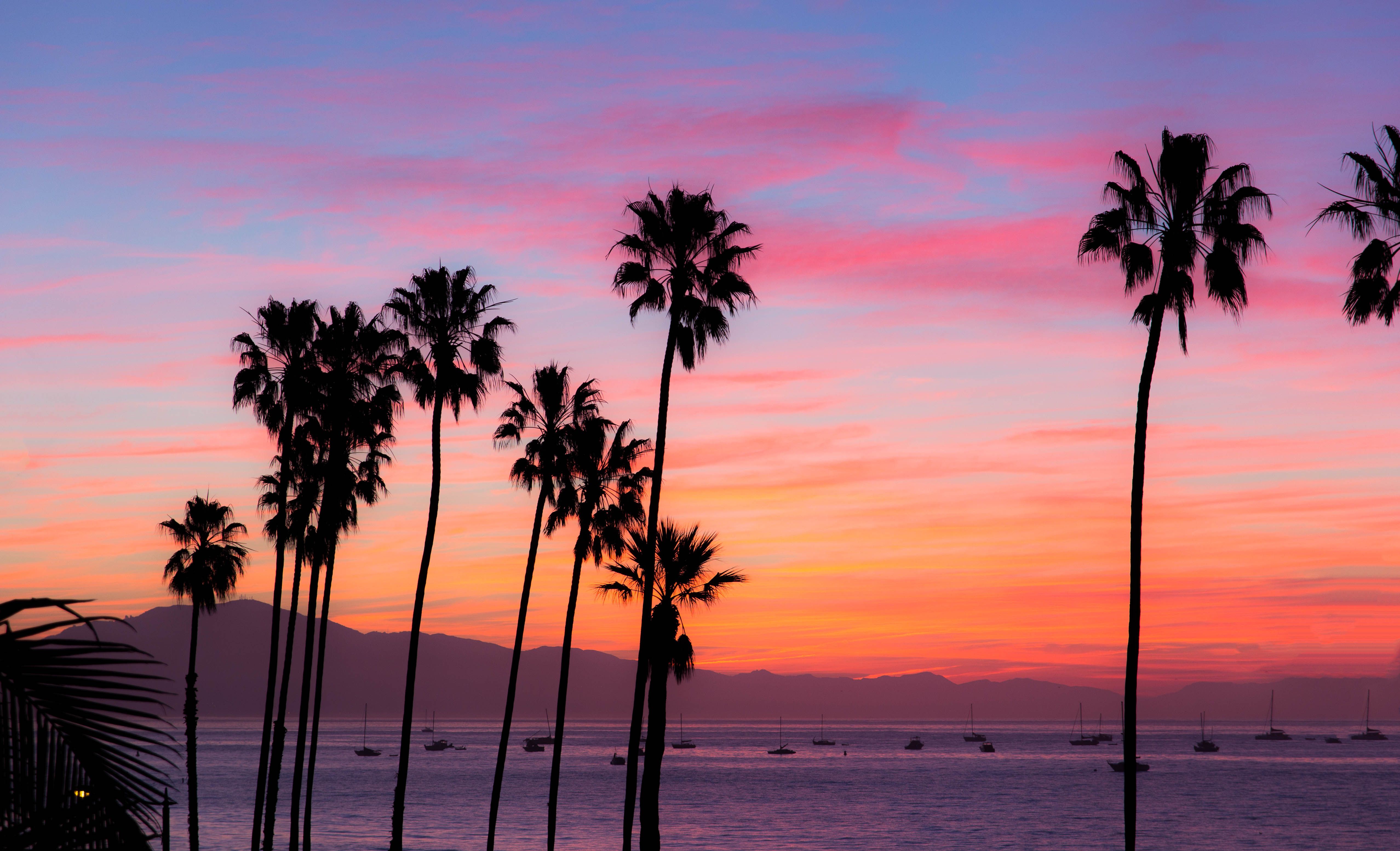 The Ultimate Travel Guide To Things To Do In Beachy Santa Barbara