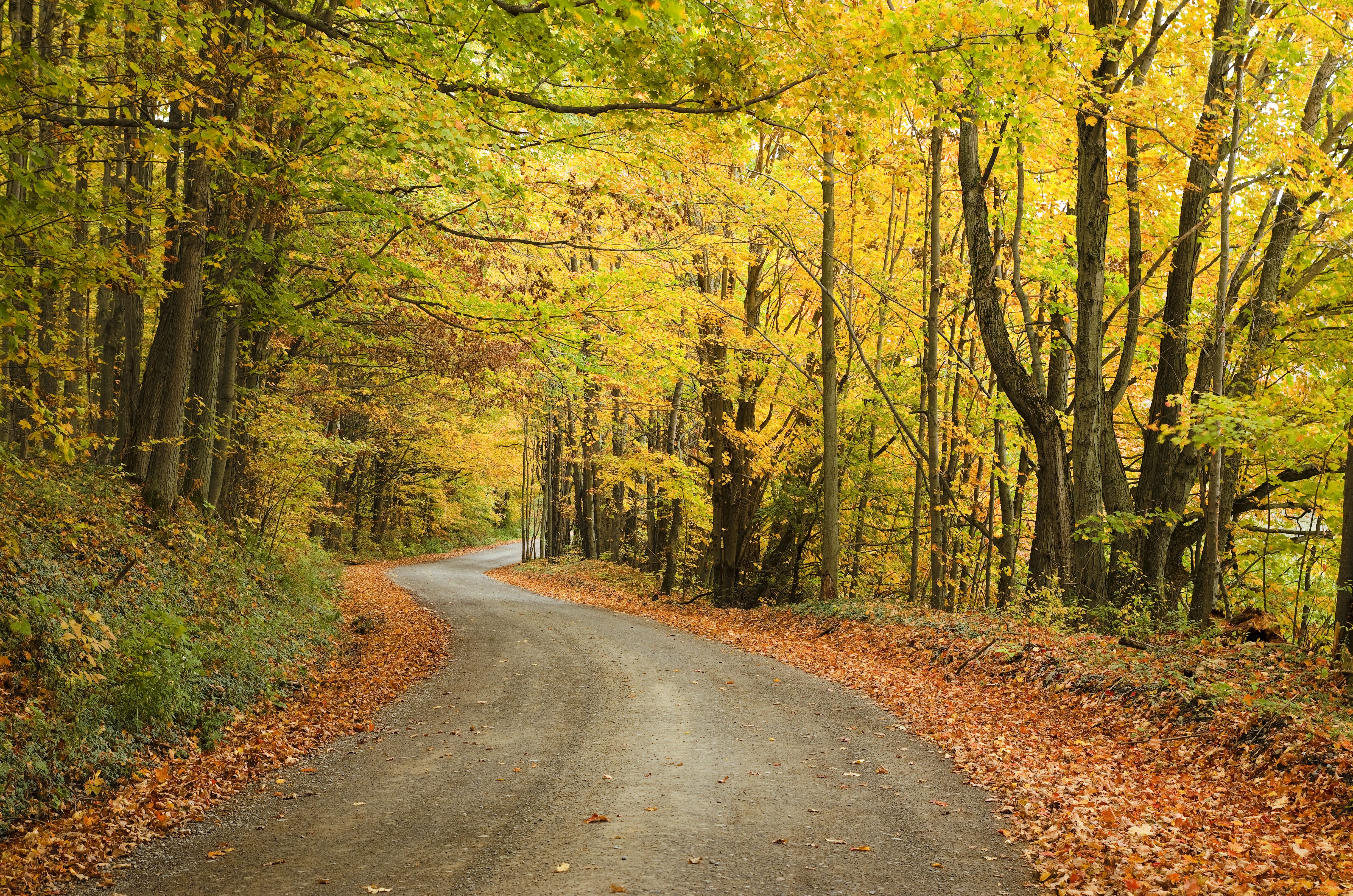 The Ultimate East Coast National Parks Road Trip