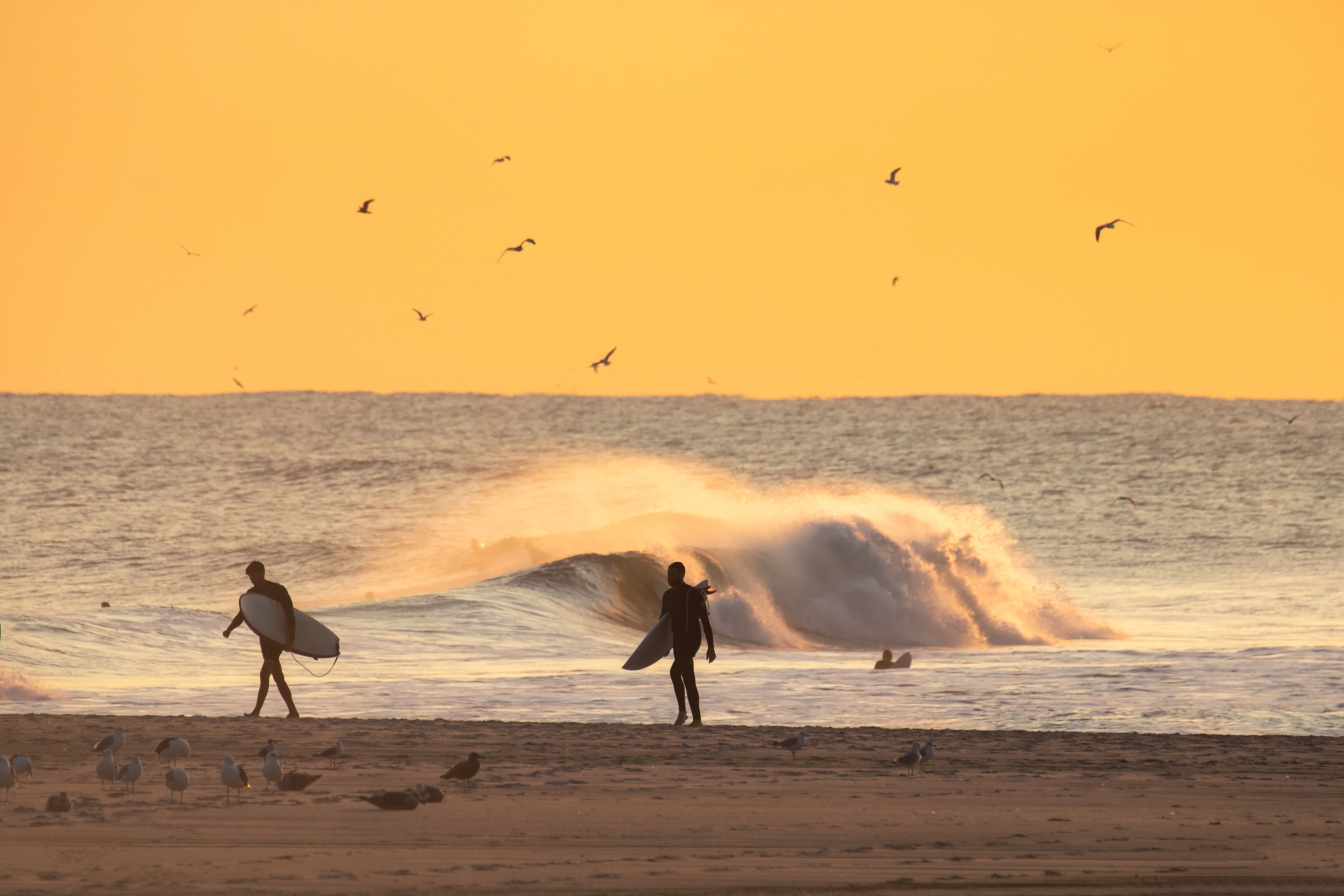 Surfers Long Island