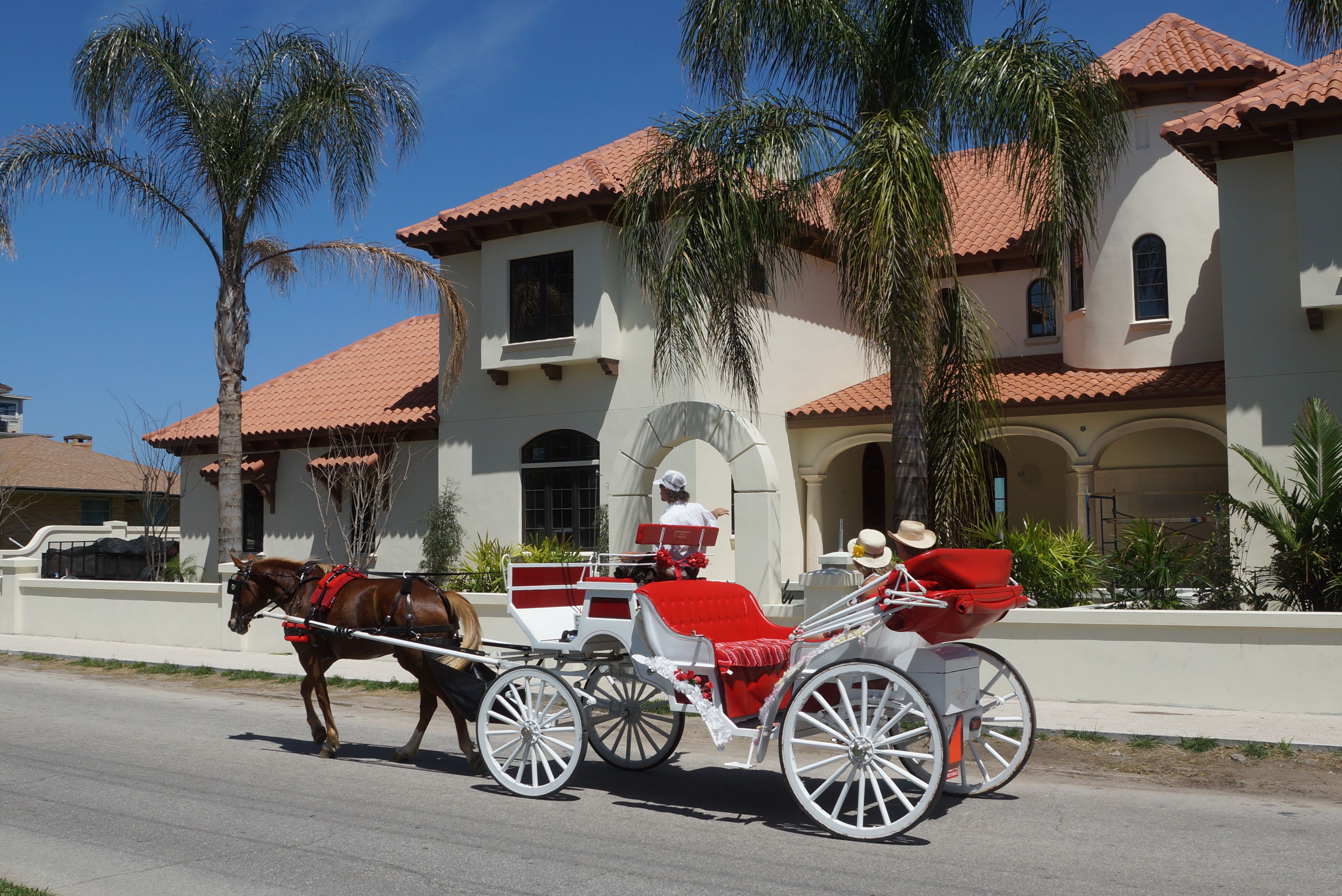 St. Augustine Carriage Ride