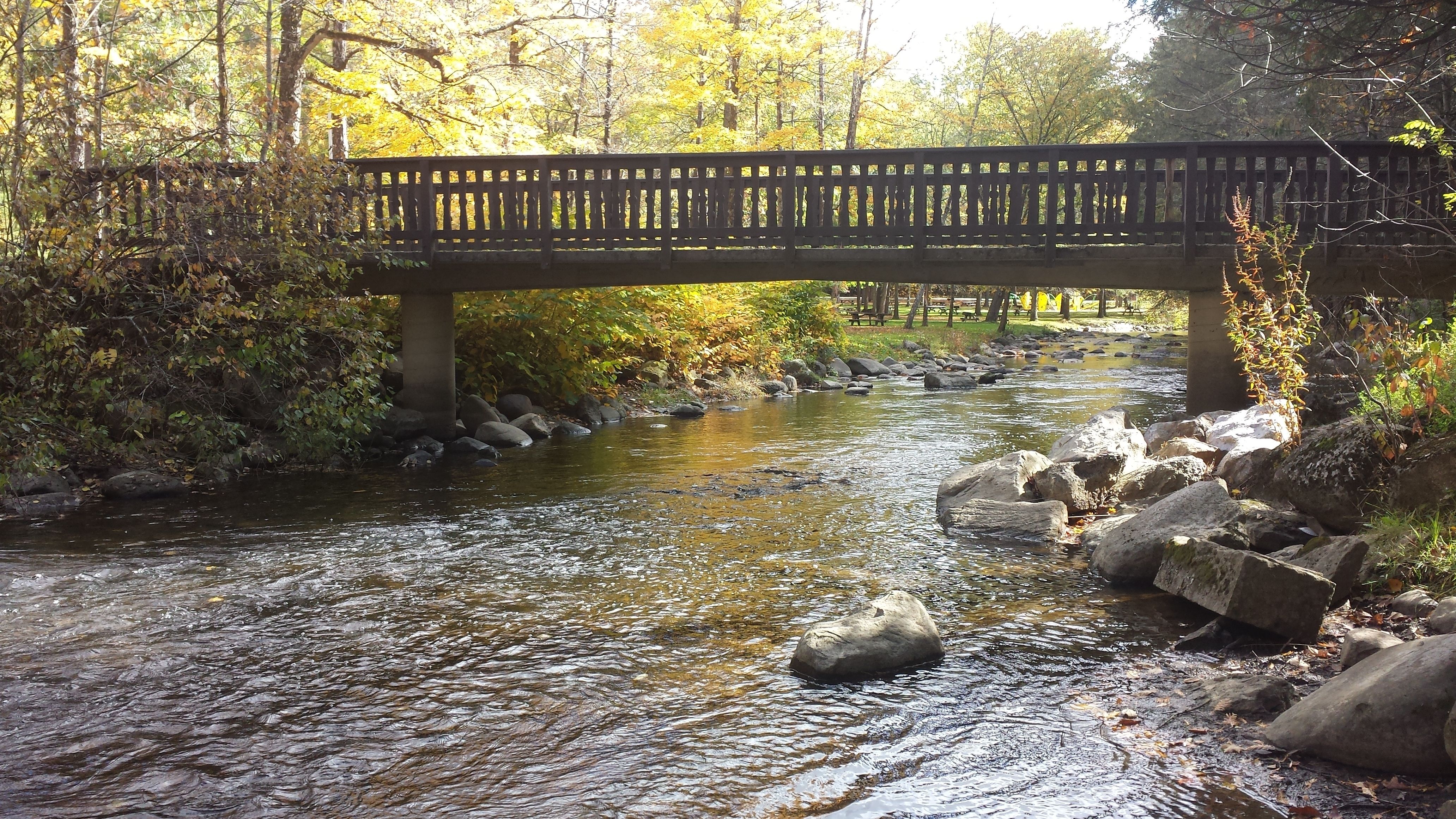 A gentle stream runs under a bridge in a forested area of Saratoga Springs State Park, New York