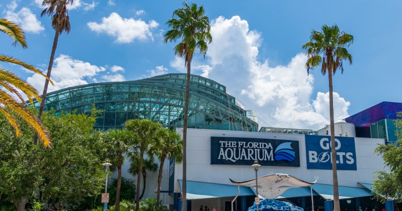 The Florida Aquarium, Tampa, Florida