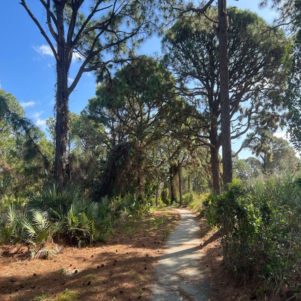 A trail at Seacrest Scrub Natural Area. 