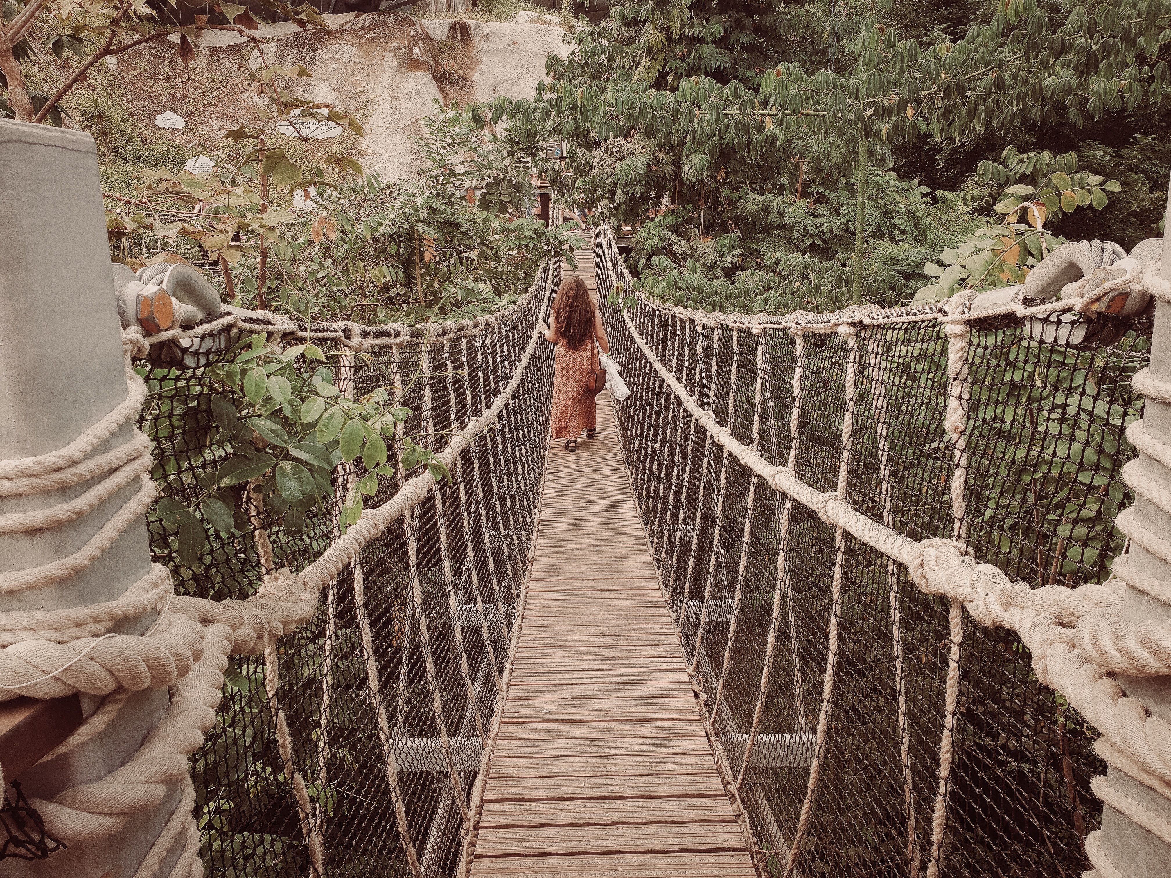 A suspension bridge connects sections of the Eden Project.