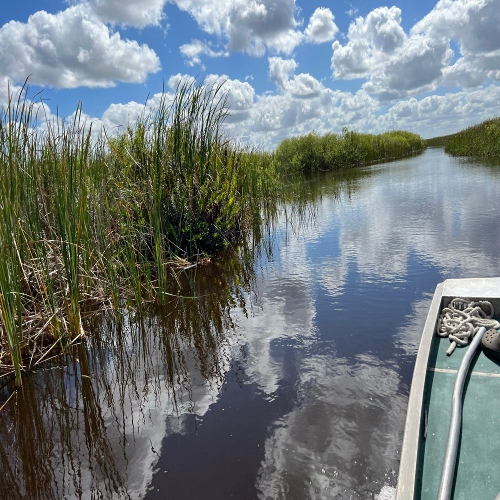 An airboat ride is an unforgettable Florida experience. 