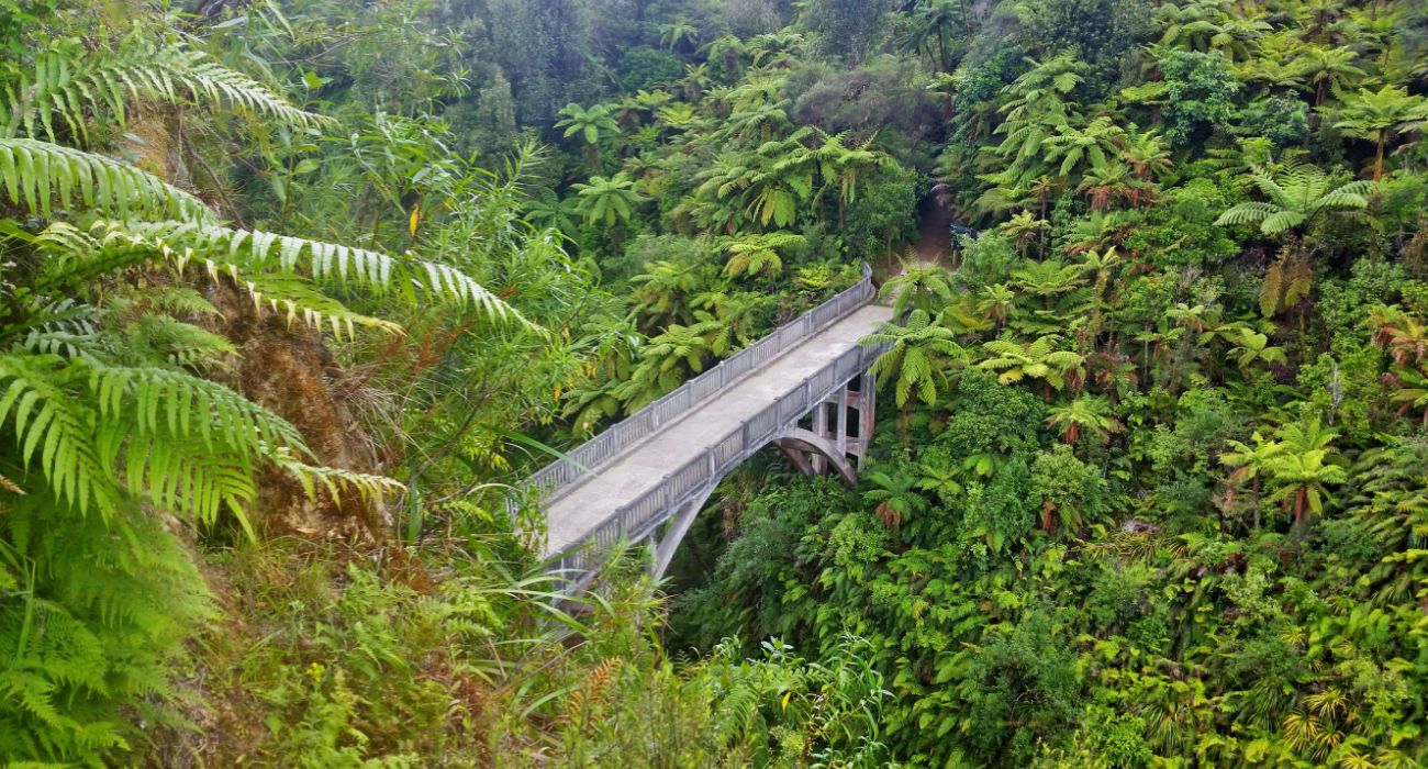 New Zealand Is Home To A Real "Bridge To Nowhere" Hidden In The Forests
