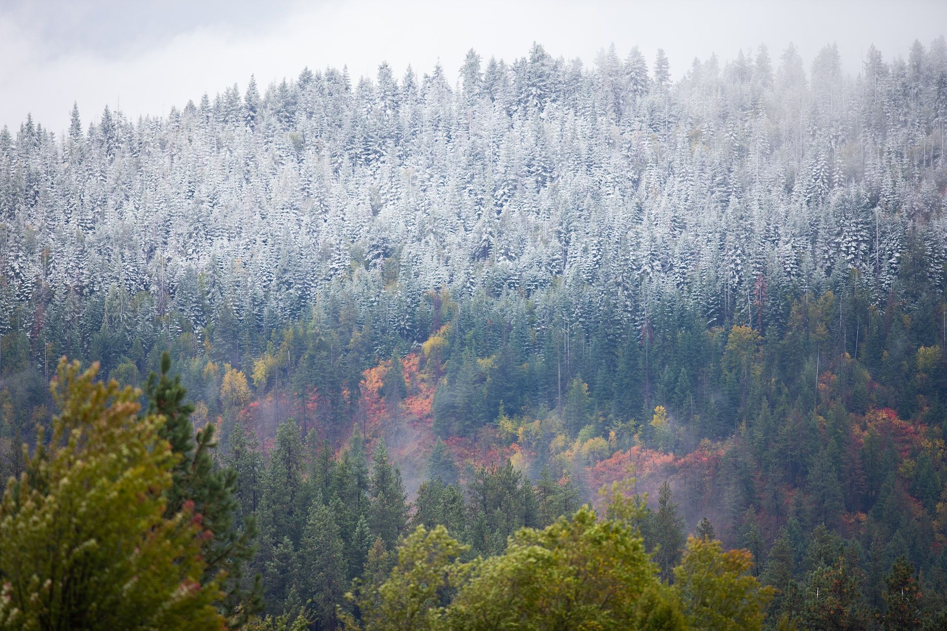 Fall into winter in Coeur d'Alene, Idaho