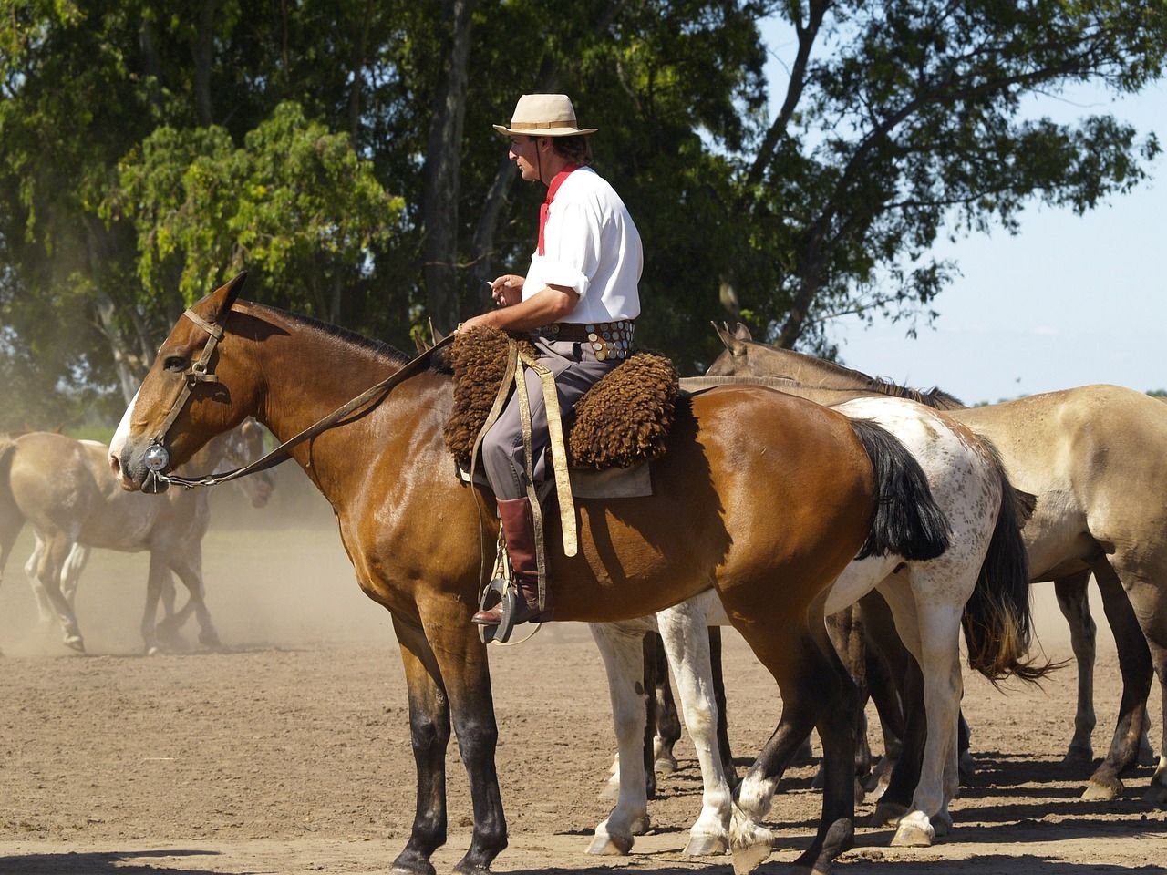 A cowboy on a horse at a ranch in Argentina!