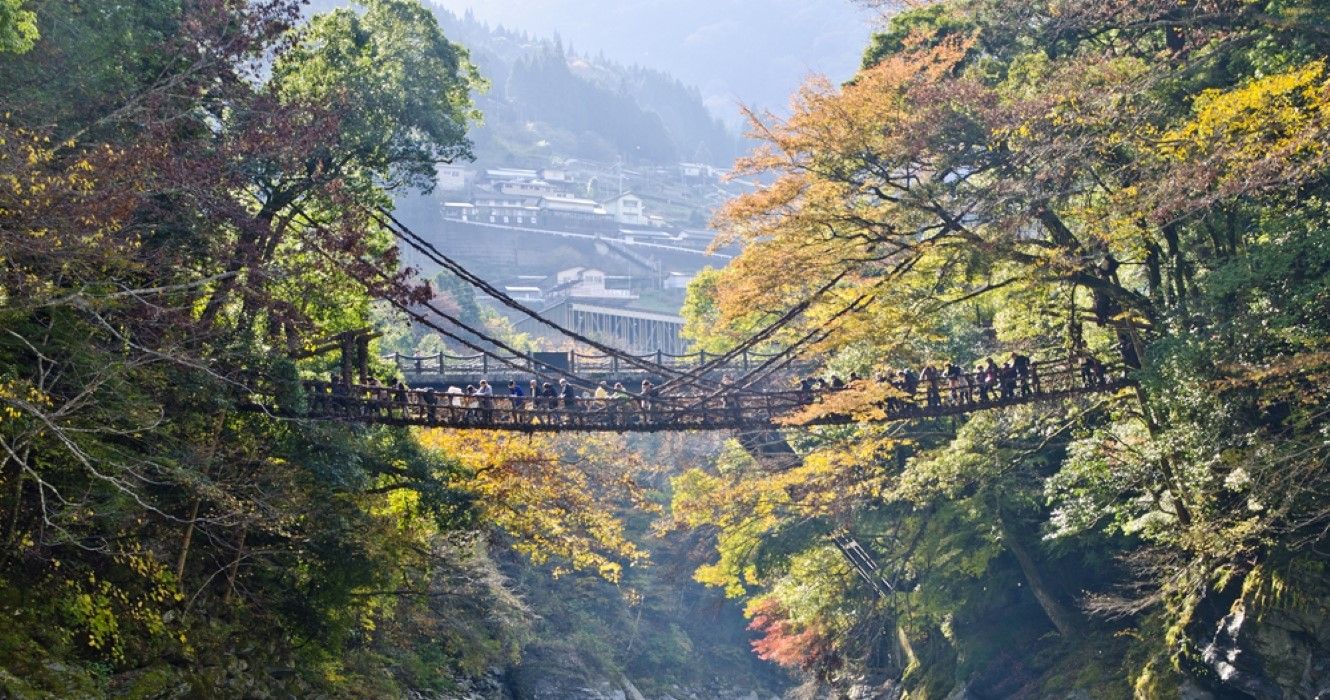 Here's Why The Swaying Vine Bridges Of Japan's Iya Valley Are Worth The Hype