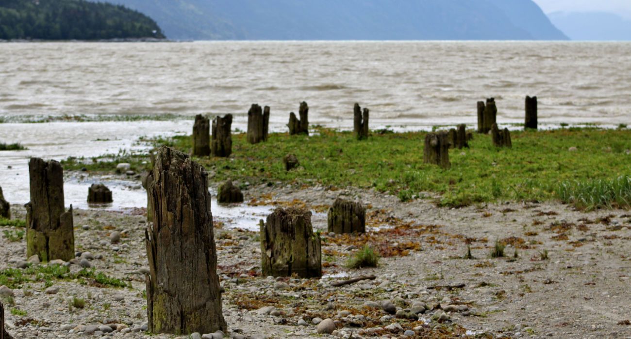 Dyea : Comment visiter la ville fantôme de l'Alaska après la puissante ...