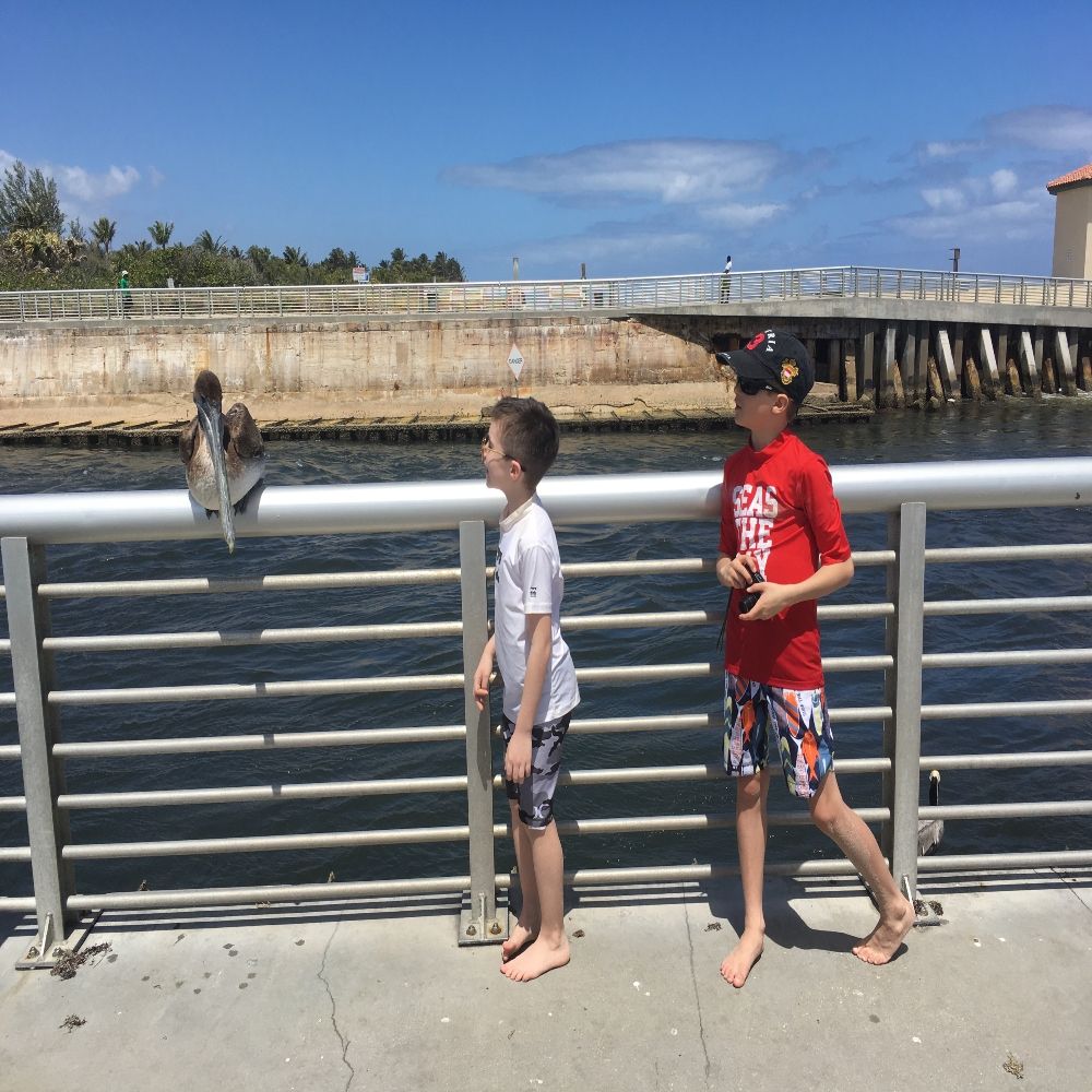 Making friends with a pelican at Boynton Beach Inlet. 