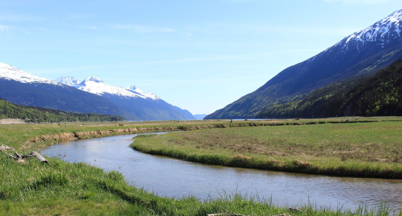 Nelson creek in Dyea Alaska
