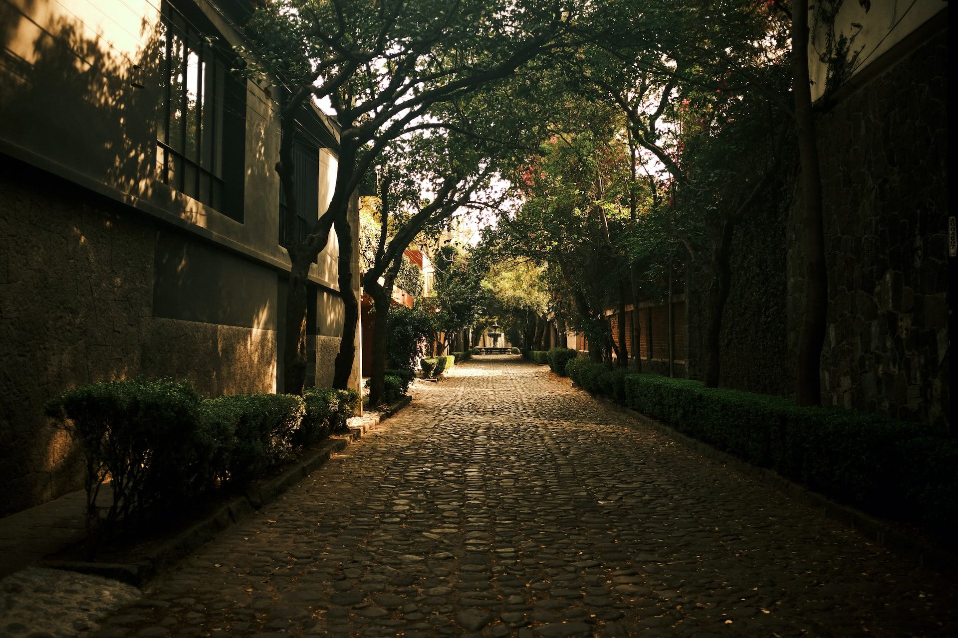cobblestone street in Coyoacan, Mexico City