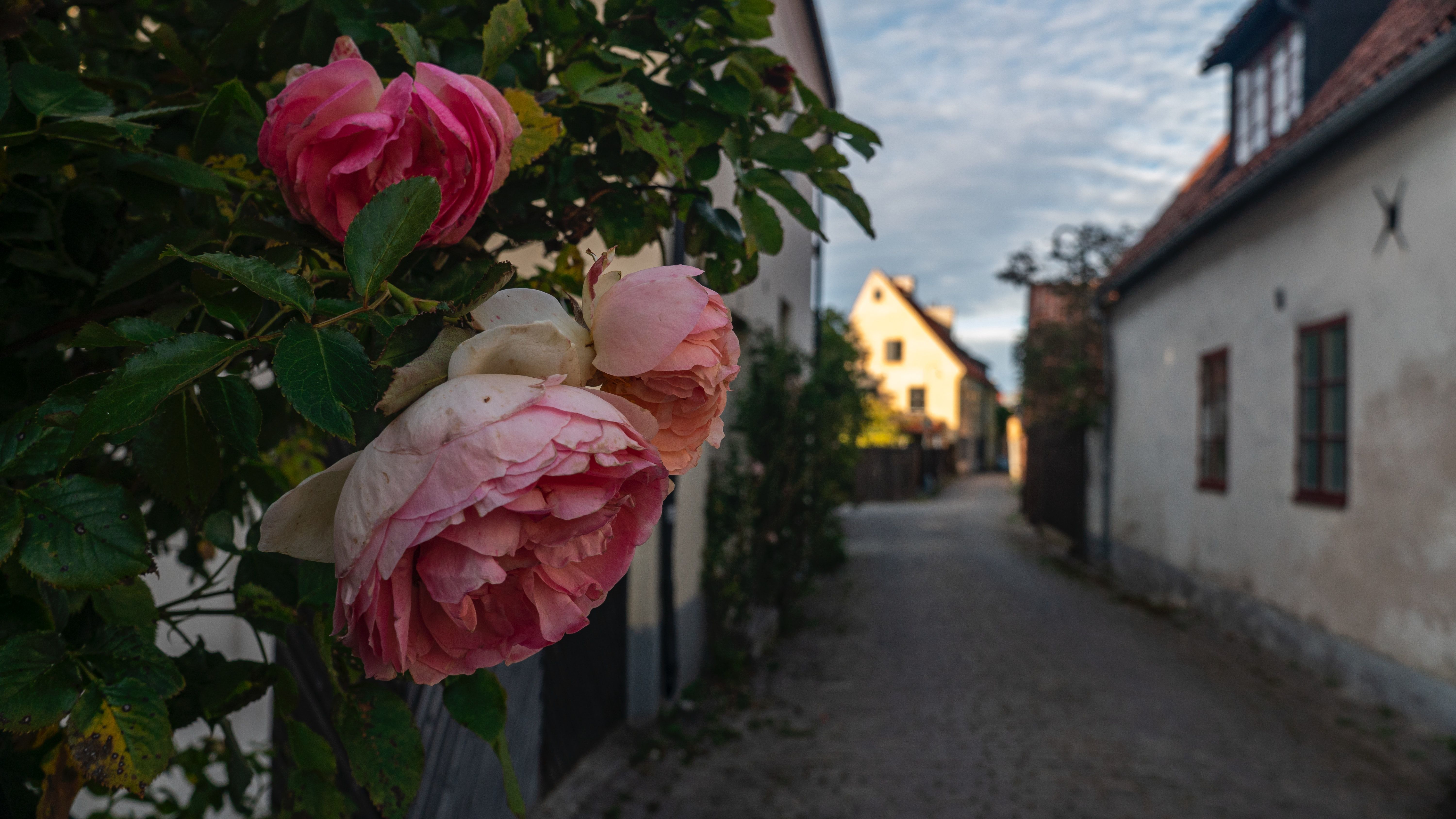 Visby, Sweden