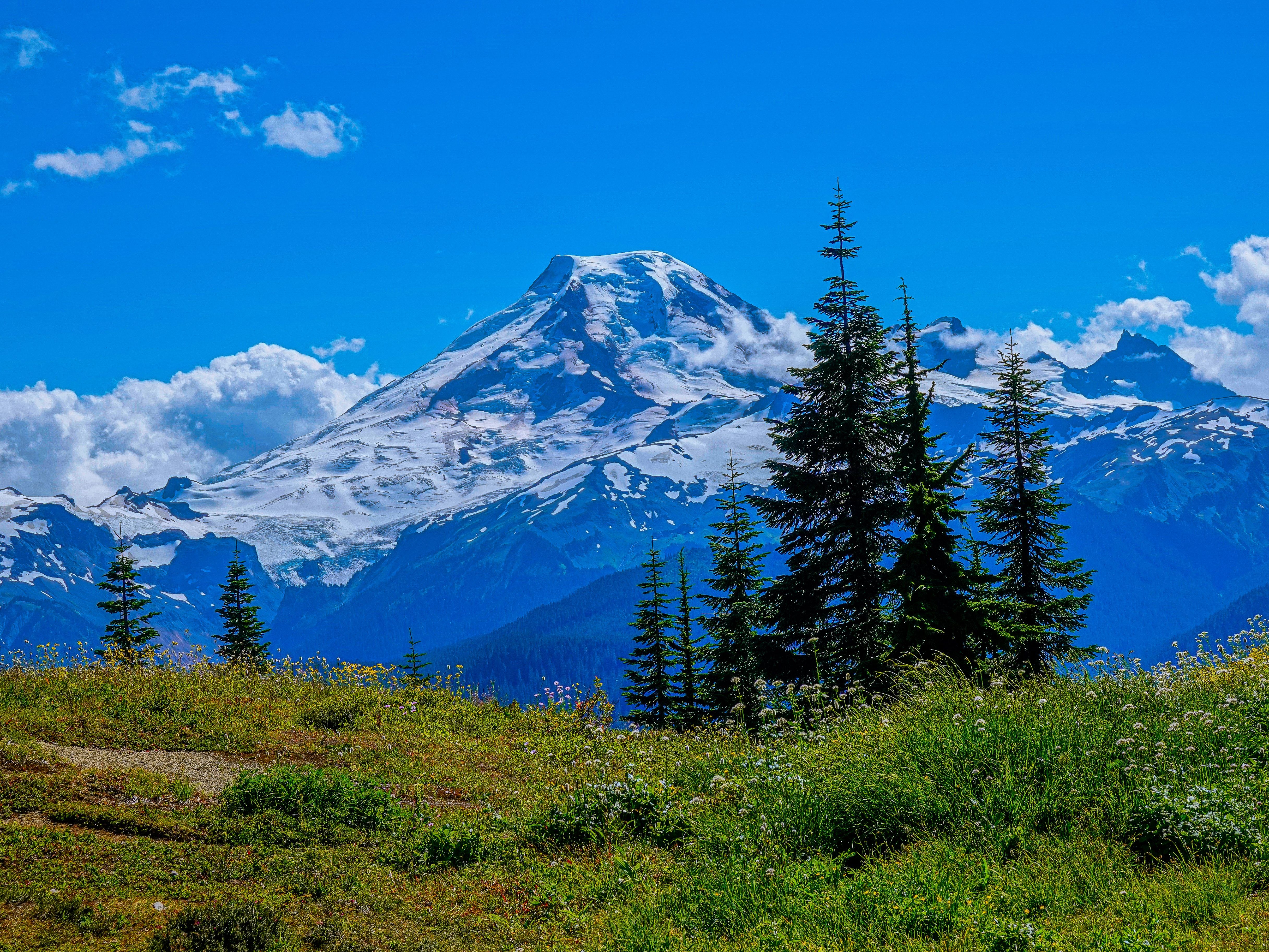 Mount Baker-Snoqualmie National Forest, Washington, USA