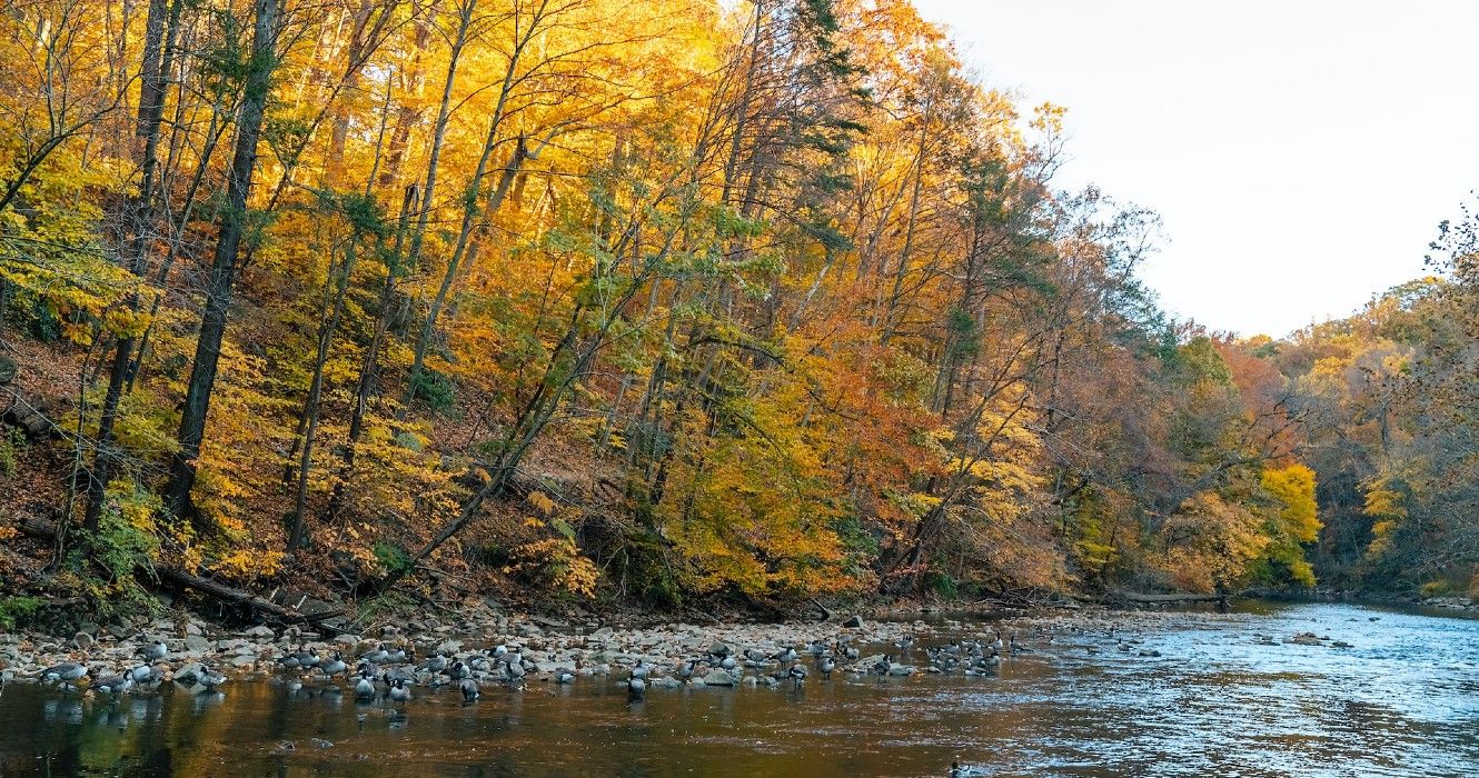 Trough Creek State Park Is Also Home To A Beautiful Pedestrian ...