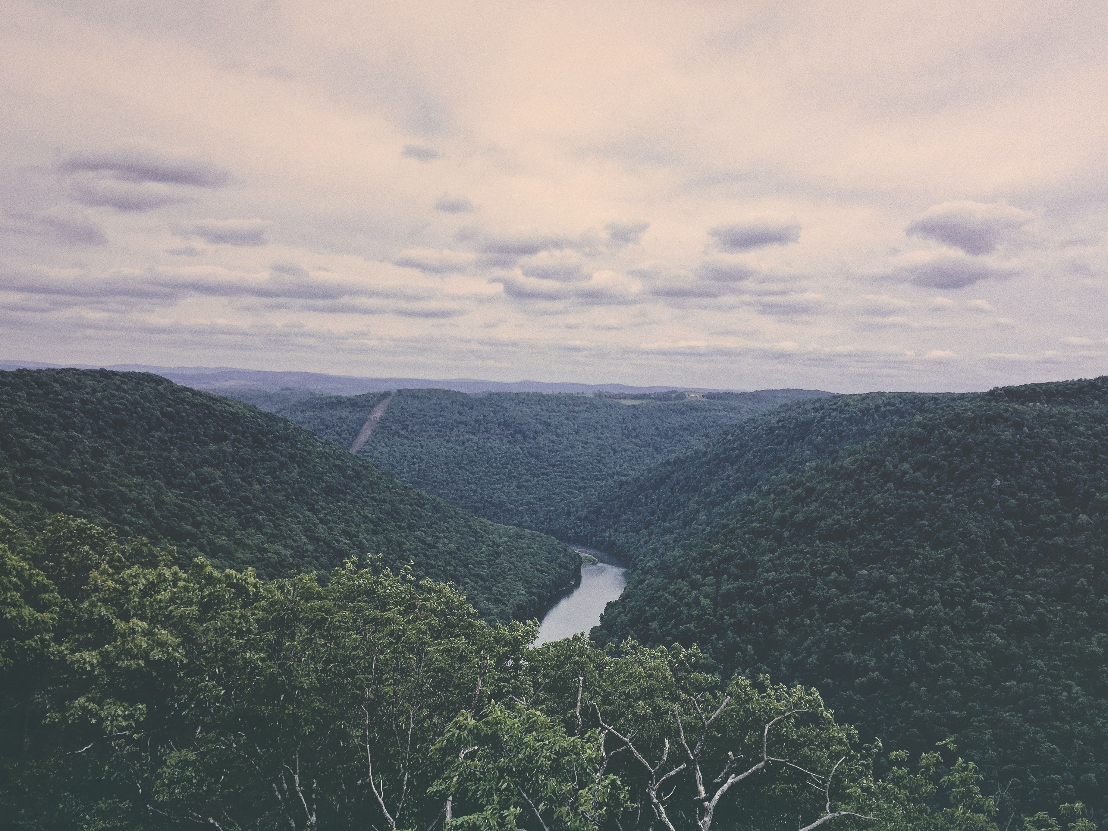 Coopers Rock State Park, West Virginia, USA