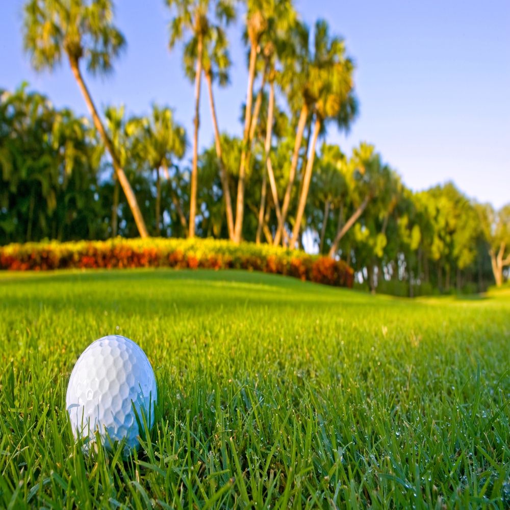 Playing golf is one of the best things to do in Port St. Lucie.