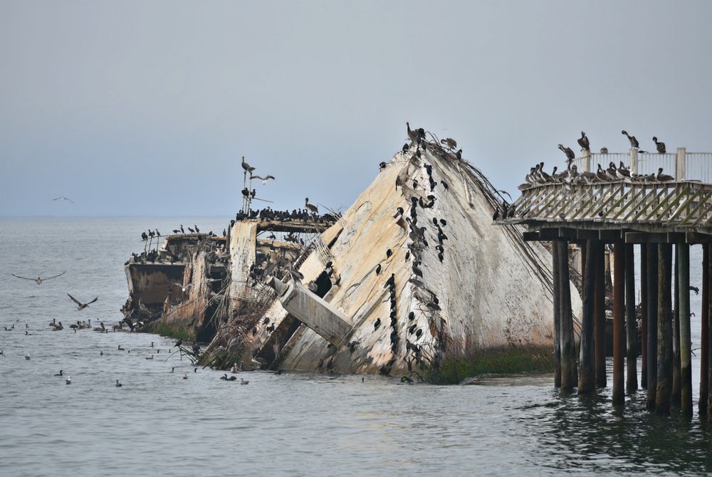 One Of Santa Cruz s Most Unusual Attractions Is The Concrete Wreck