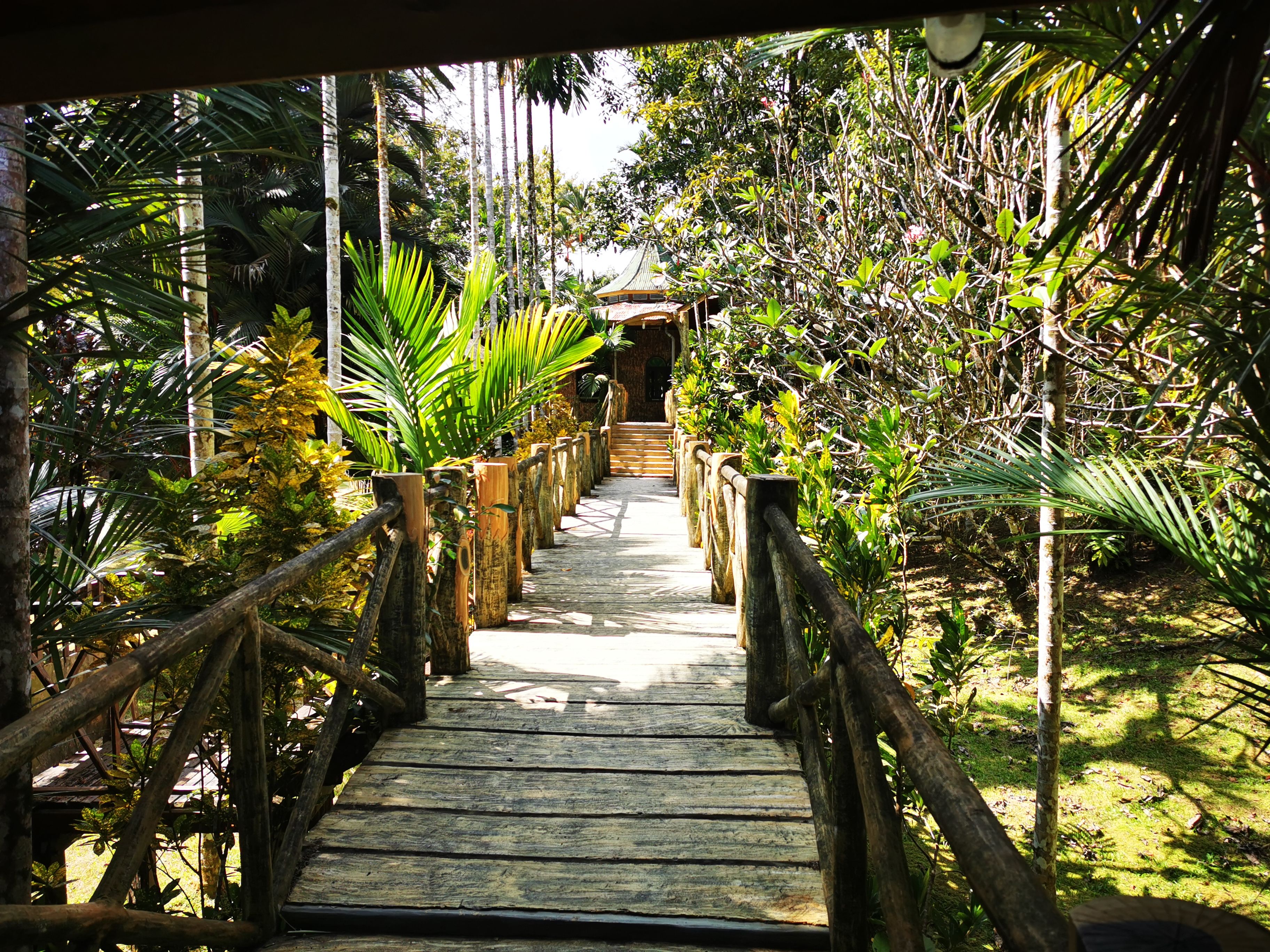 Sepilok Jungle Resort Boardwalk
