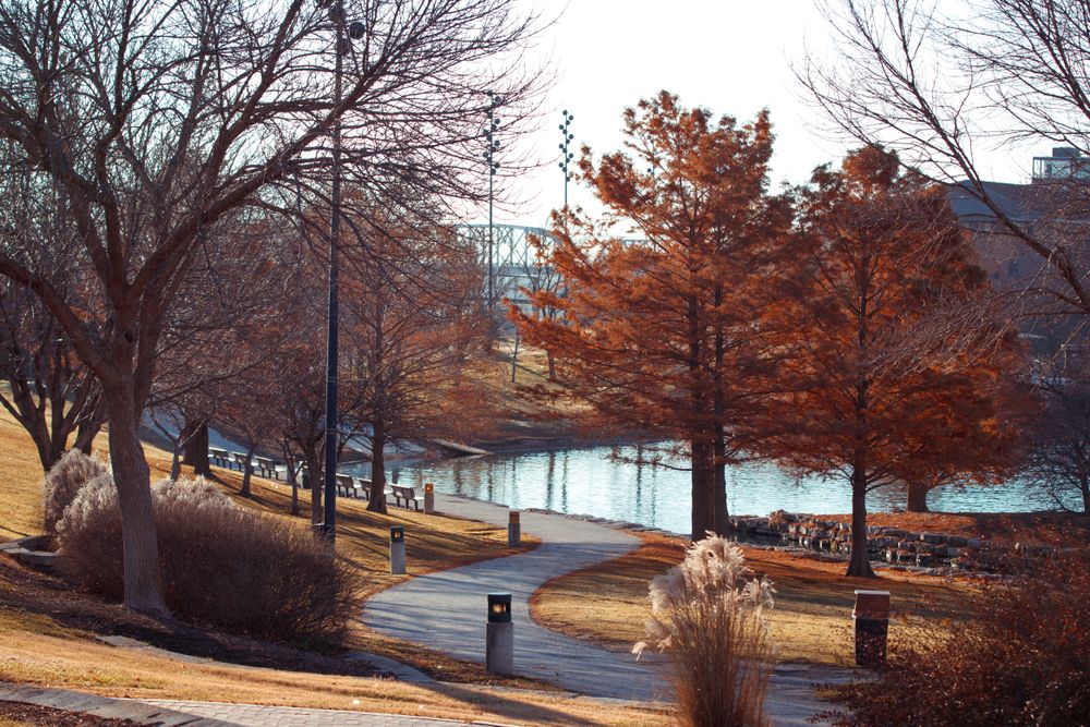 Park and Lake in Fall 