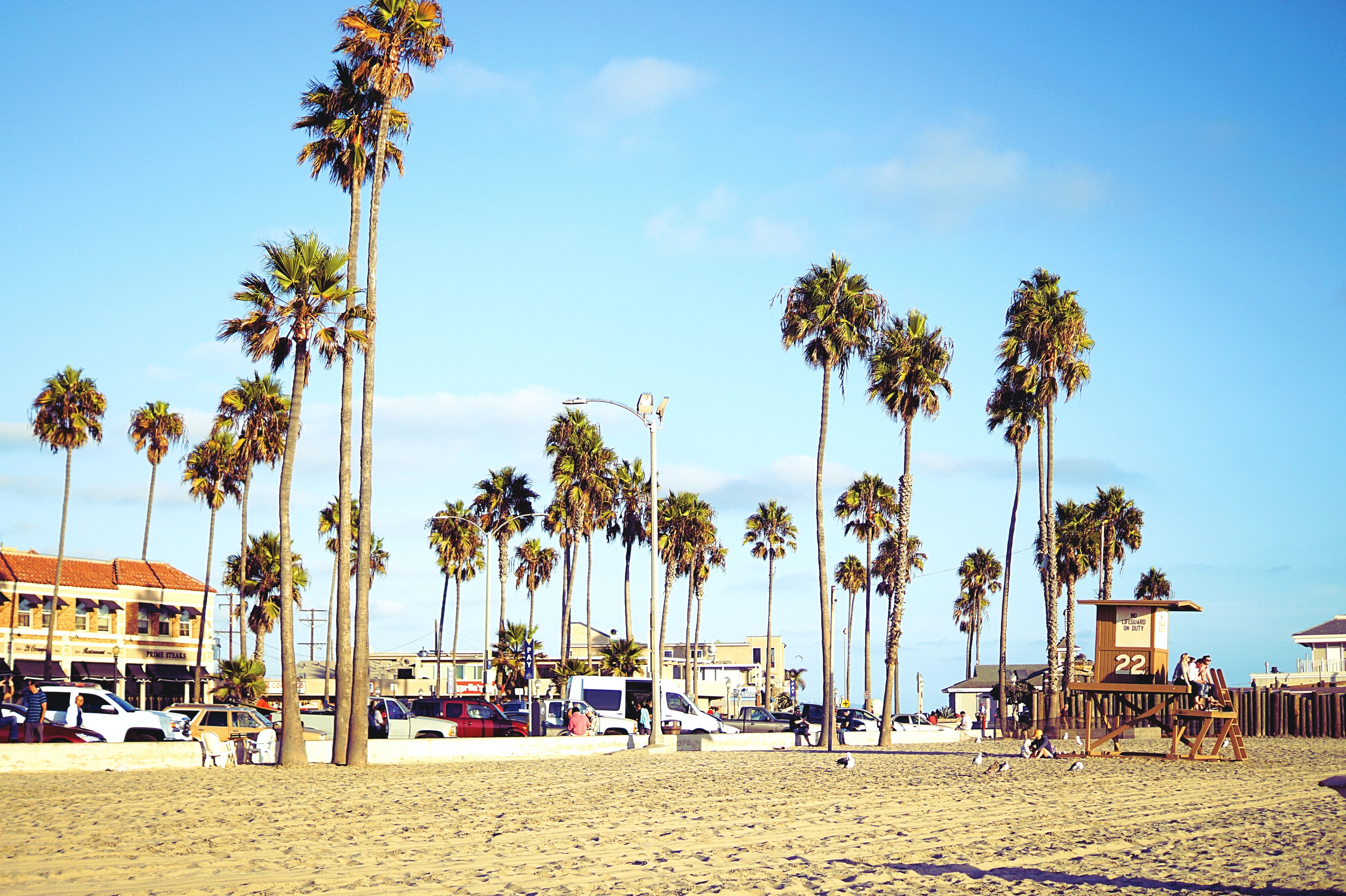 The Ultimate Orange County, California Travel Guide - AFAR