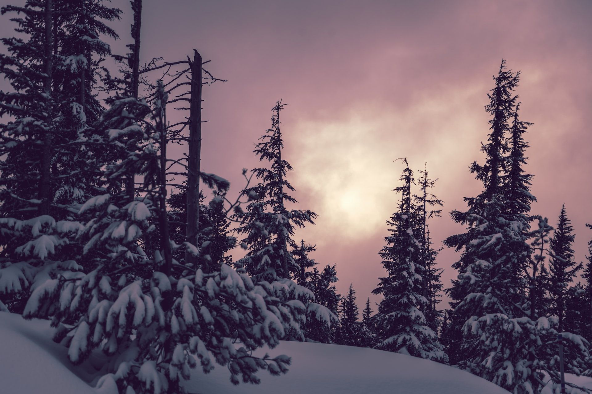 Snow on Cascade Mountains in Linn County, Oregon