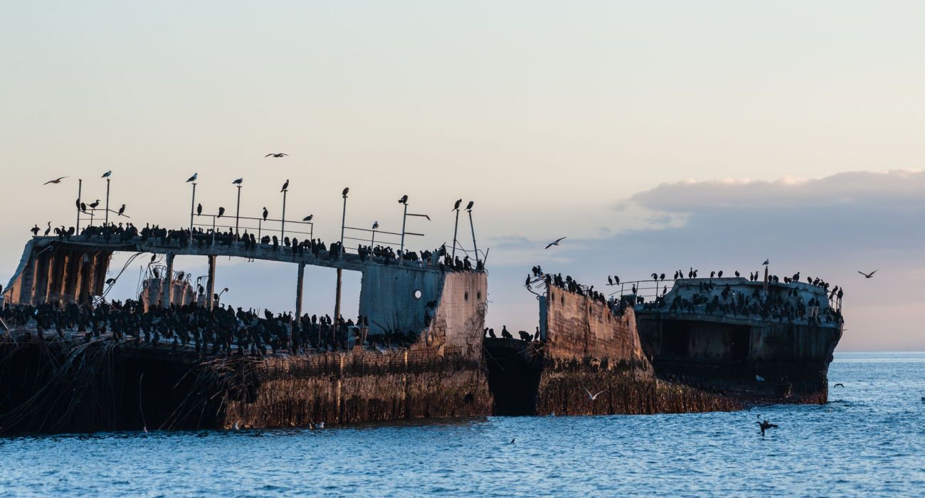 One Of Santa Cruz s Most Unusual Attractions Is The Concrete Wreck