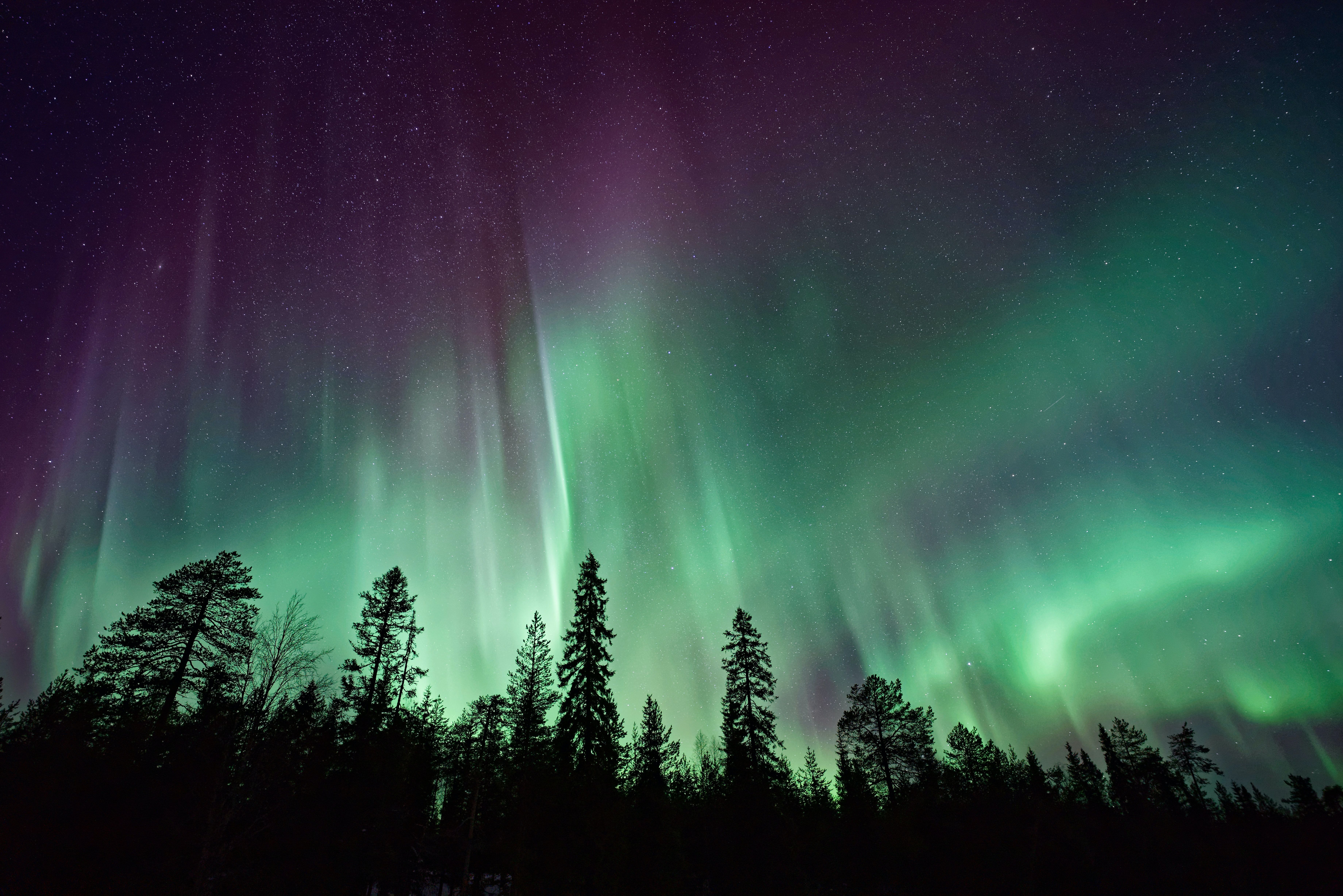 Northern Lights in Tromso