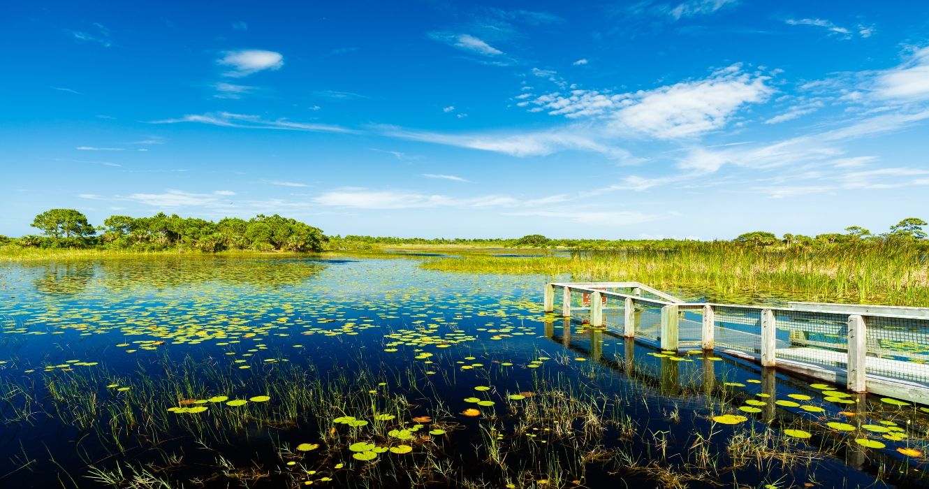 Visiting Nature Preserves is a top thing to do in Port St. Lucie.