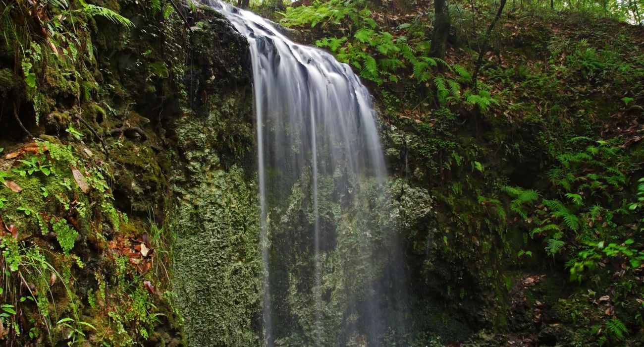 Cachoeiras em Falling Waters State Park, norte da Flórida