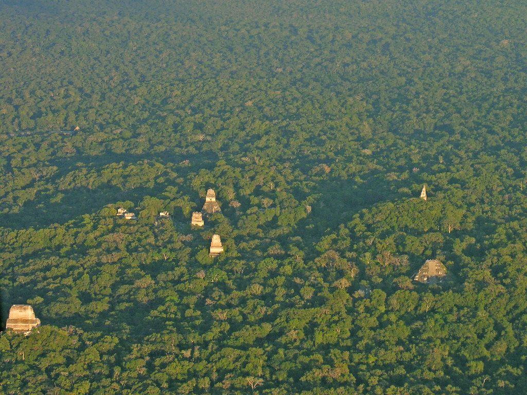This Guatemalan Rainforest Revealed A 200CenturyOld Mayan Site
