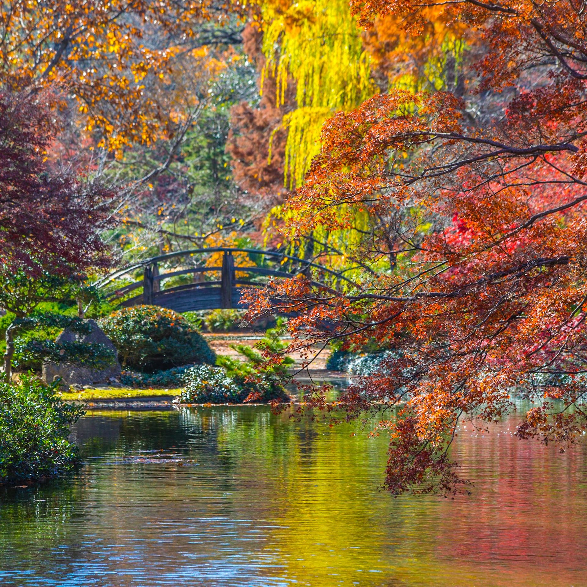 10 Beautiful Japanese Gardens In The U.S. To Visit This Fall