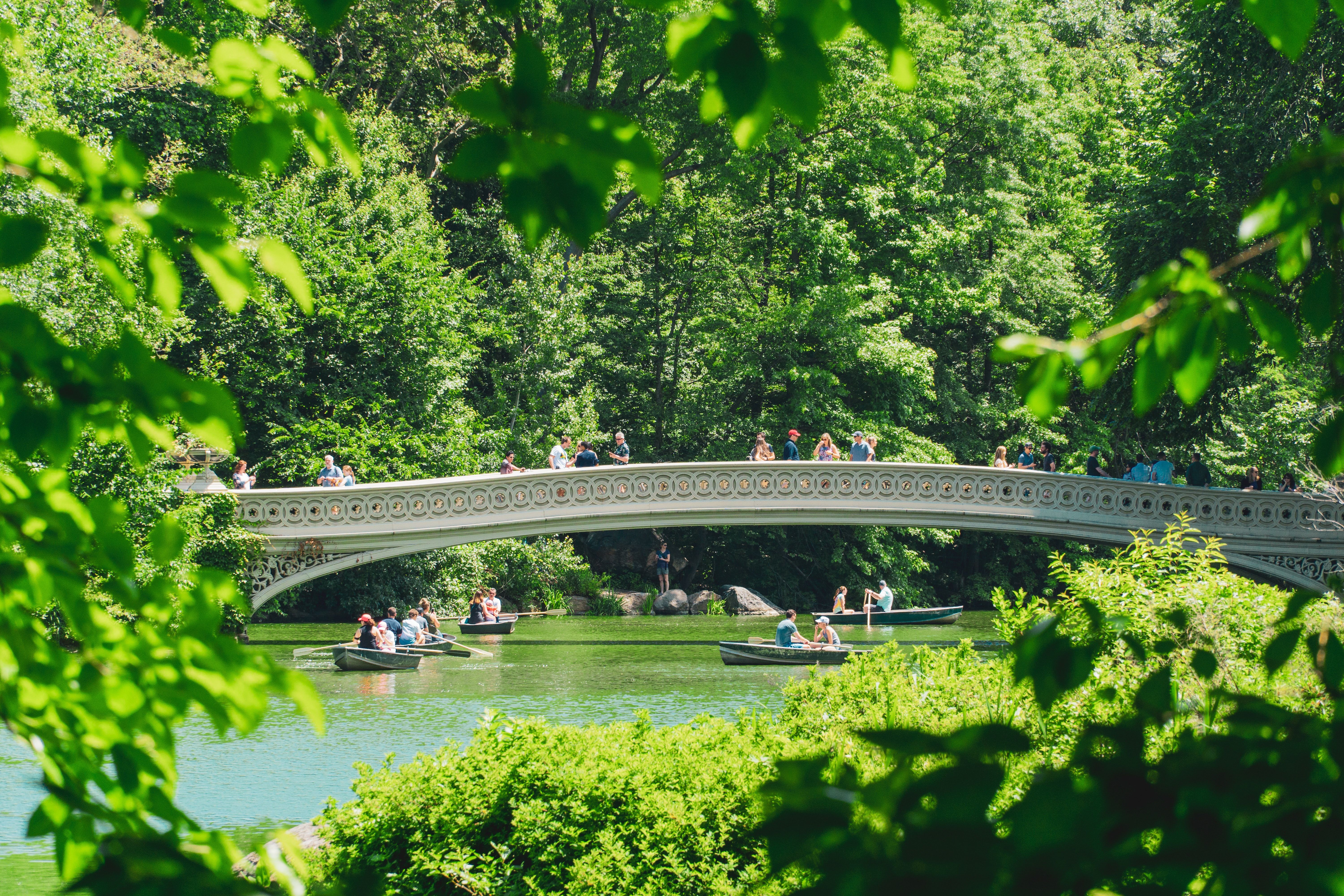 A bridge over the stream flowing through Central Park in New York City