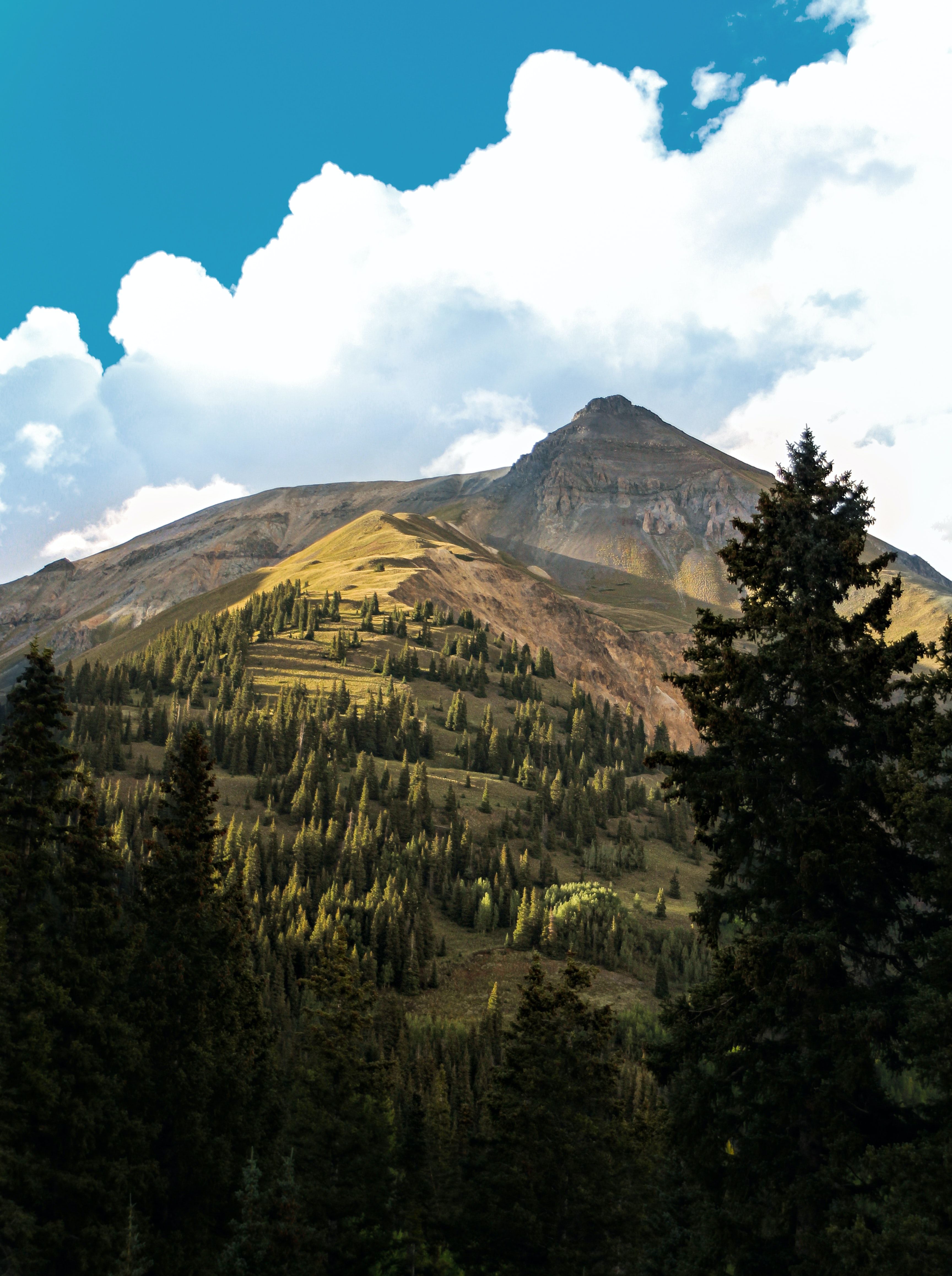 A stunning view of grass-covered mountain along the Million Dollar Highway